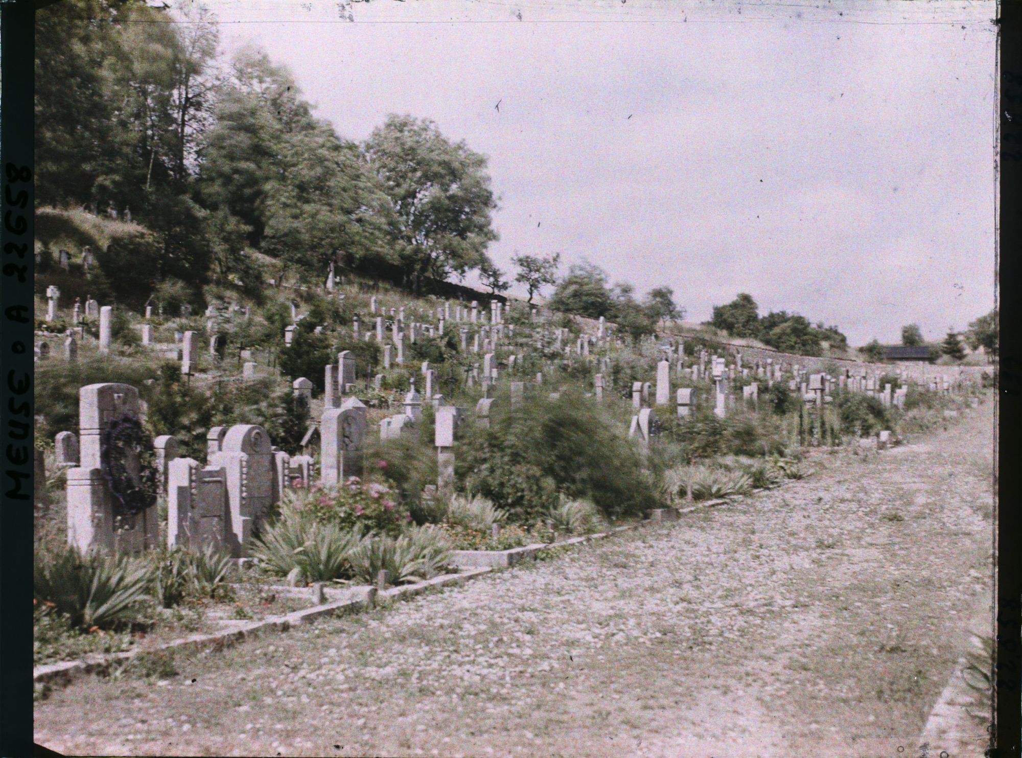 Image représentant France, St Mihiel, Vue d'ensemble du Cimetière Allemand ( 6000 Tombes)