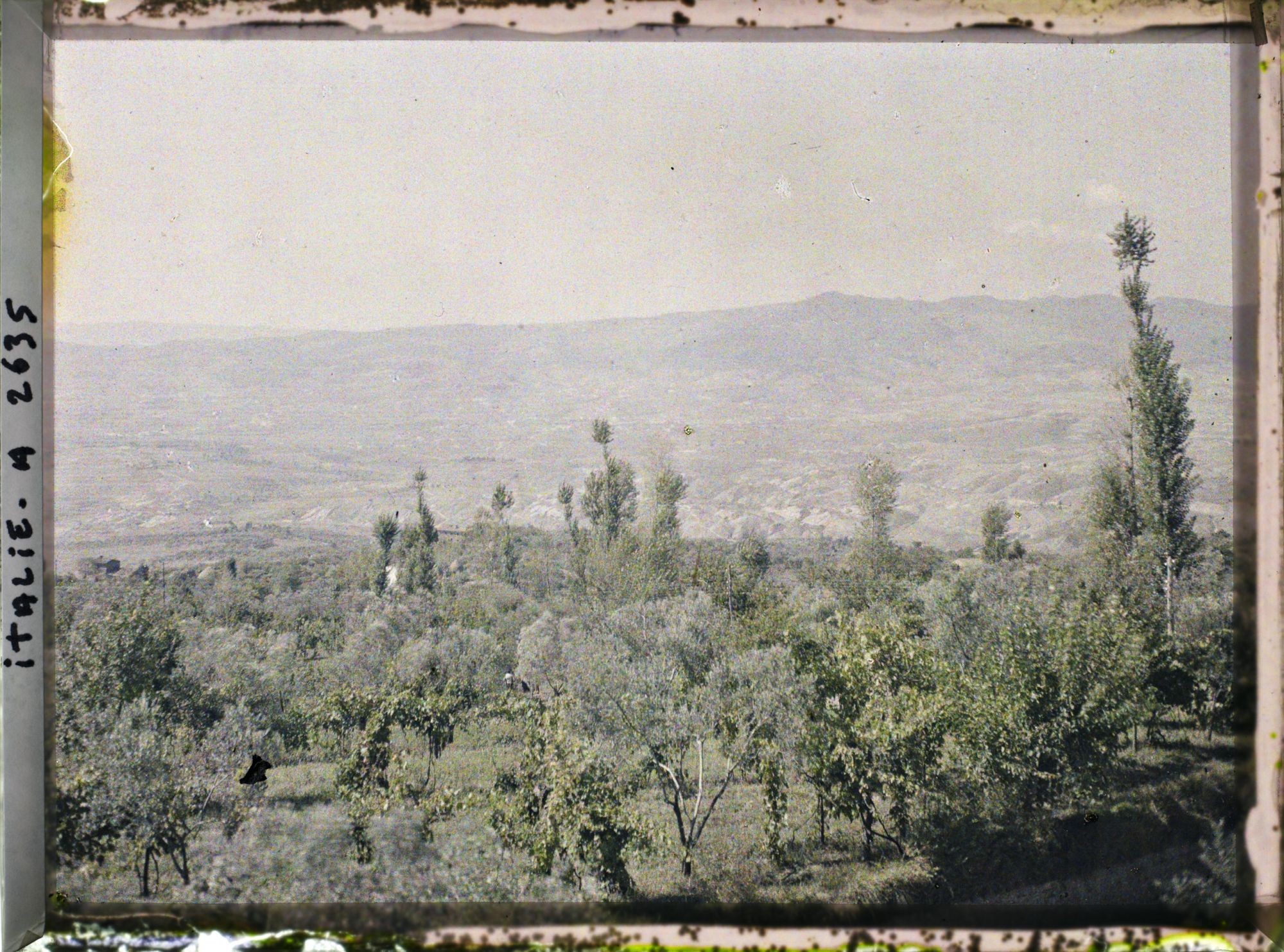Image représentant Terrains gris de la région de Volterra