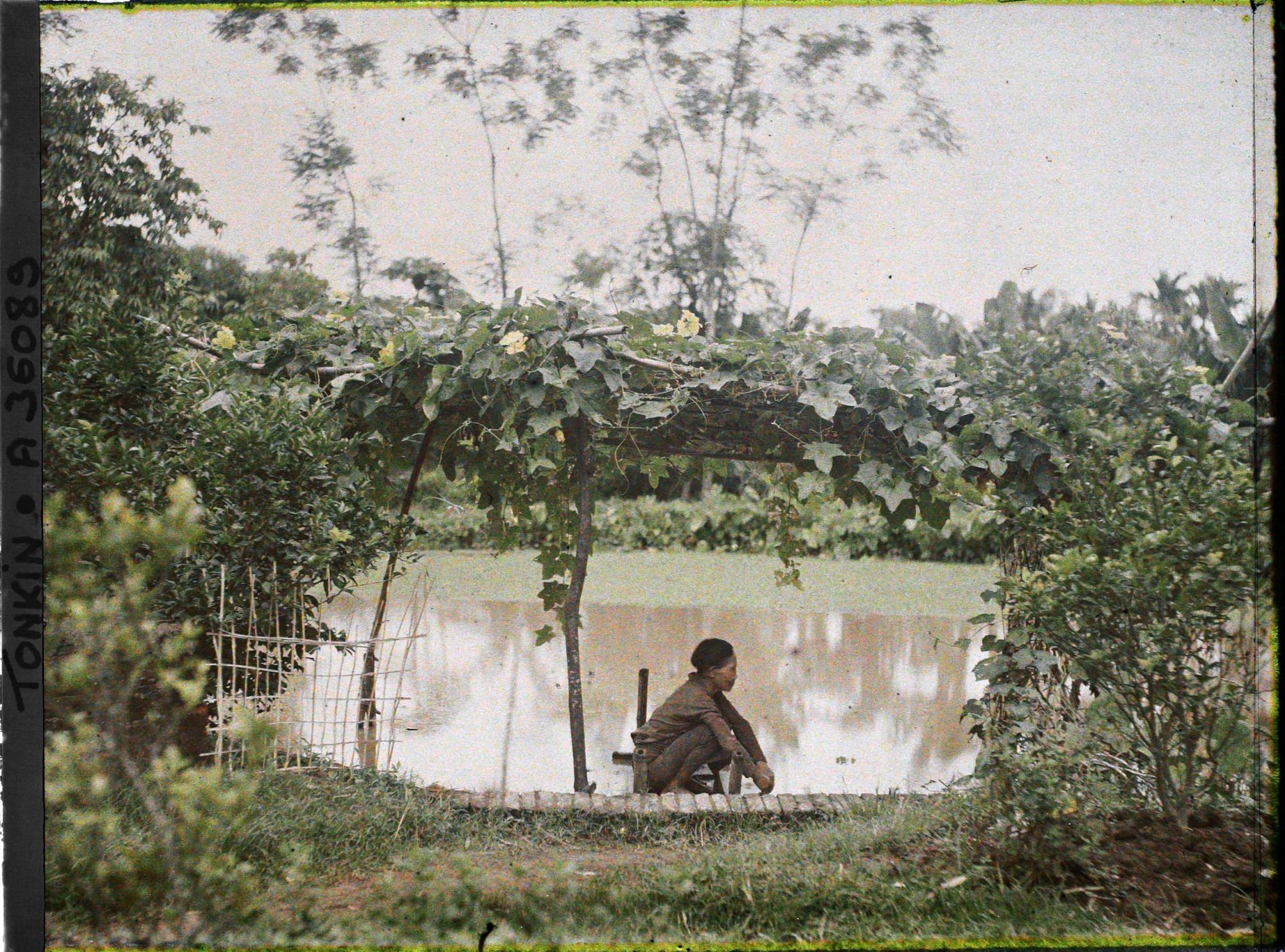 Image représentant Un homme accroupi au bord d'un étang, à l'ombre d'une pergola