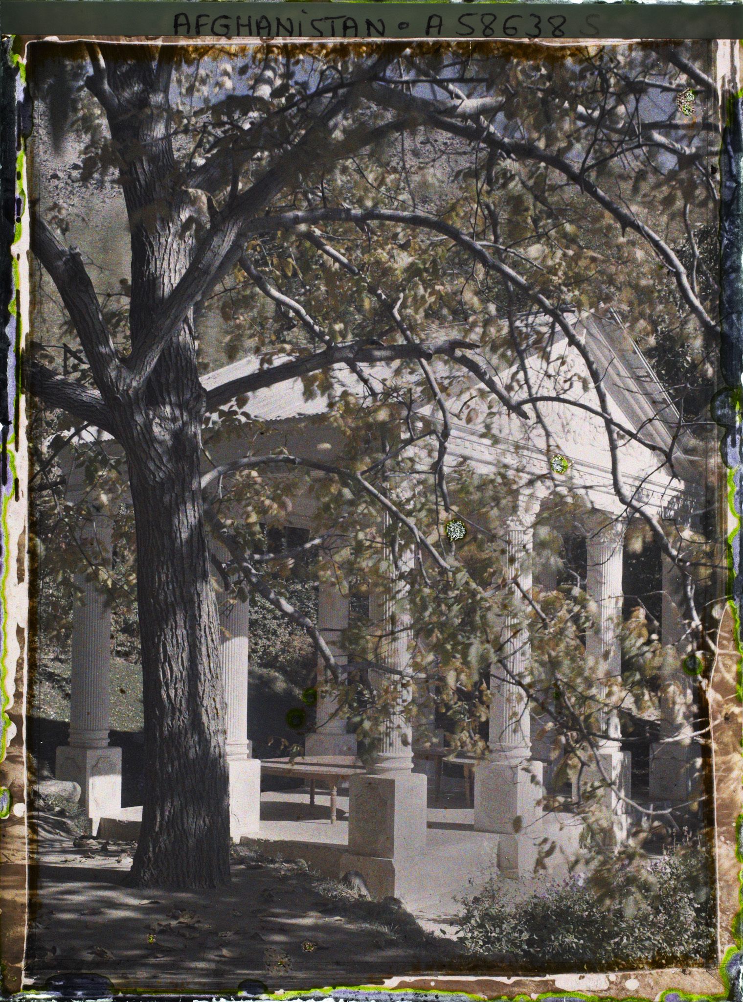 Image représentant IF927_A058638.jpg