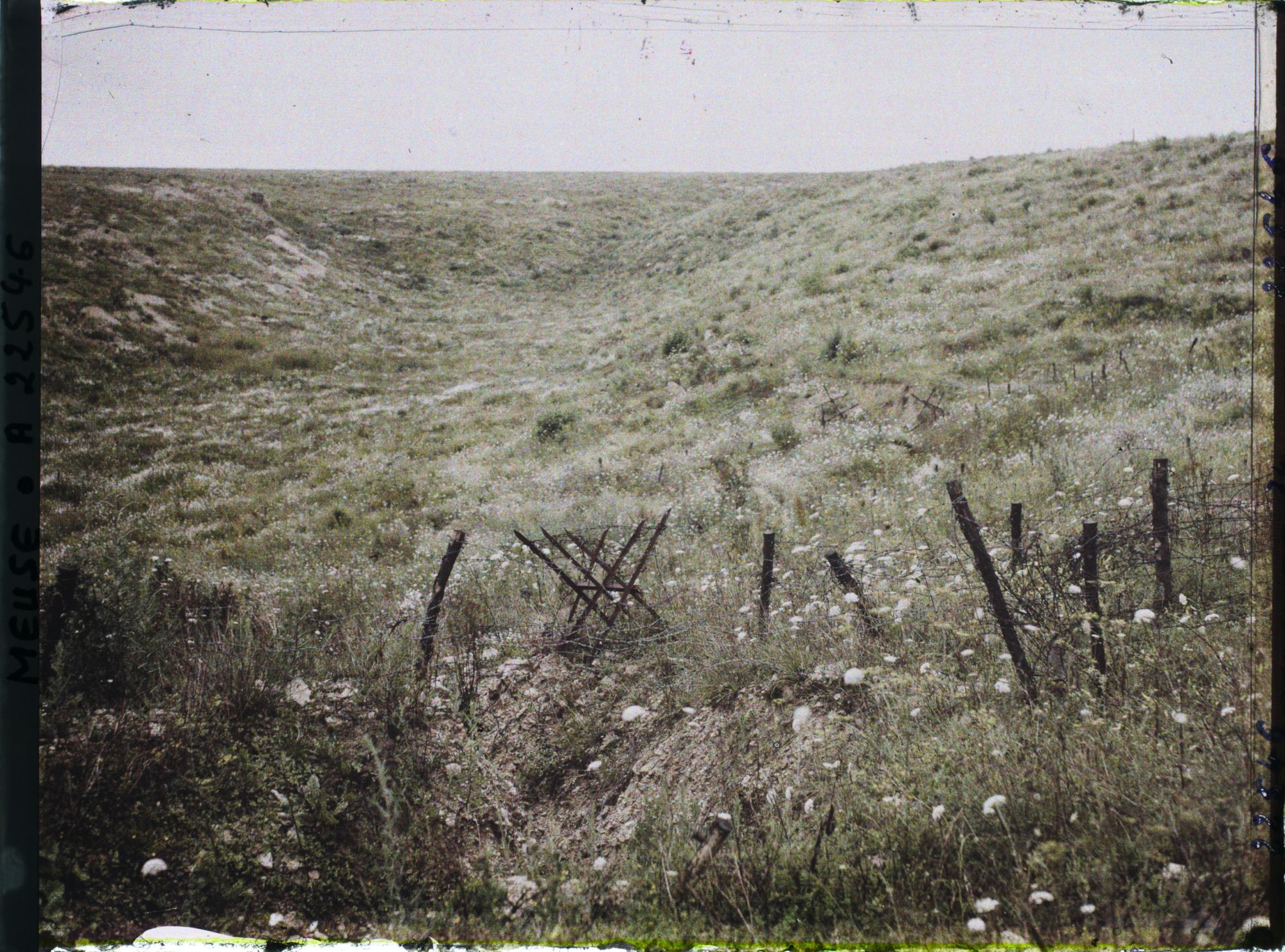 Image représentant France, Vaux, Ravin de la Mort