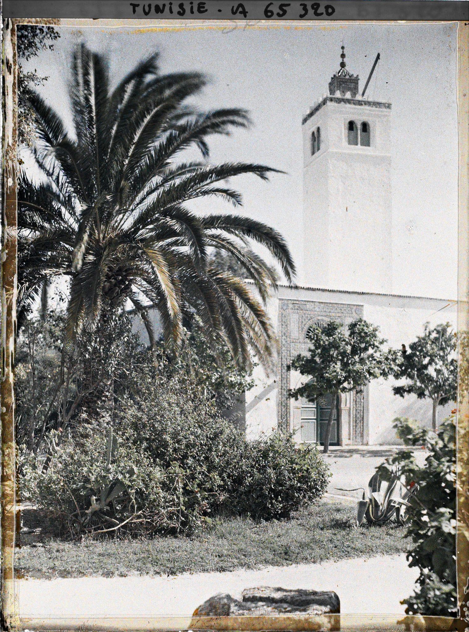 Image représentant La mosquée du palais du Bardo