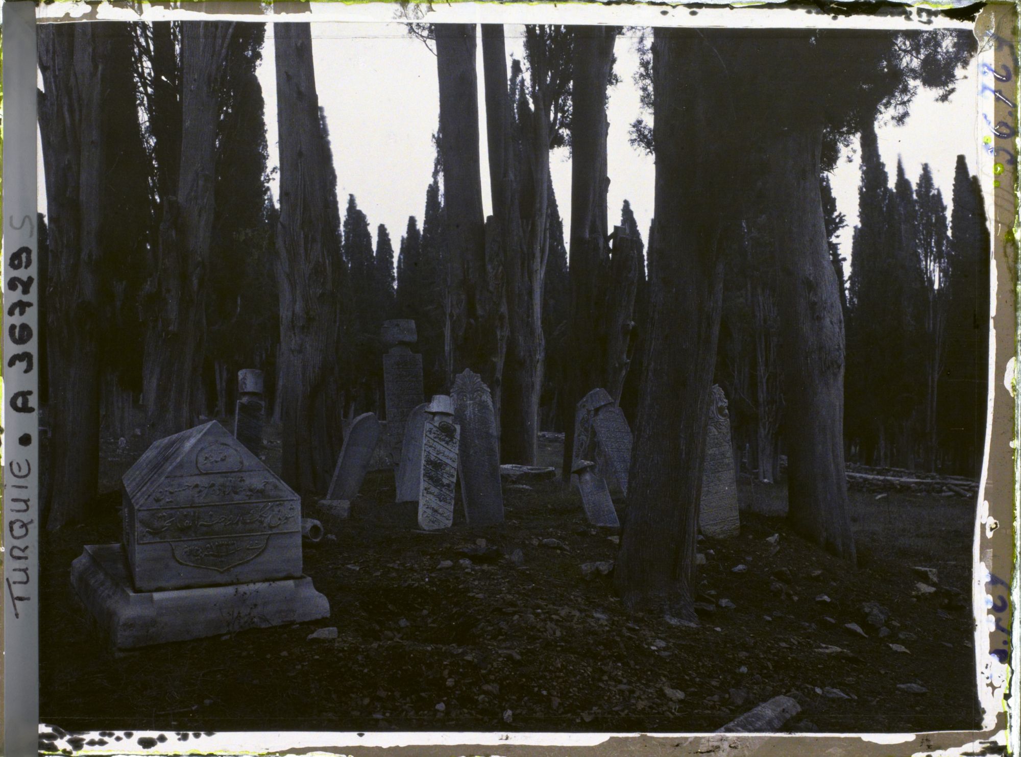 Image représentant Cimetière de Karacaahmet ou Büyük Mezaristan ("Grand cimetière"),  tombes et colonnes funéraires dans un bois de cyprès