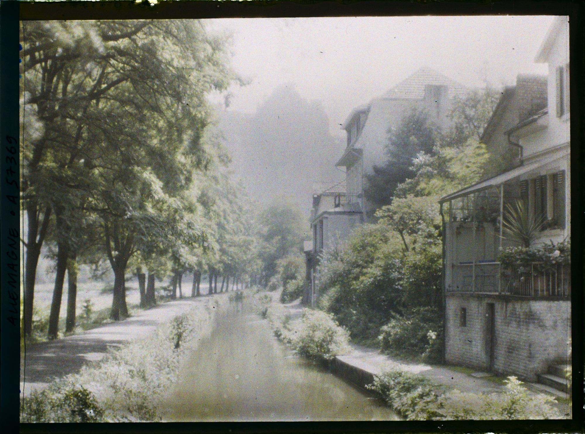 Image représentant Bords du Rhin, Badmünster, Paysages divers
