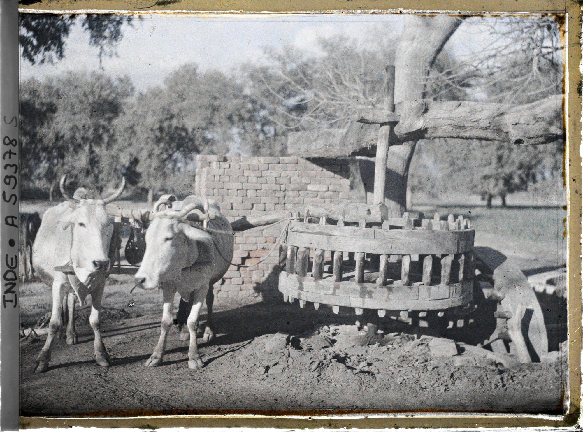 Image représentant Un manège élévatoire d'eau, actionné par une paire de boeufs