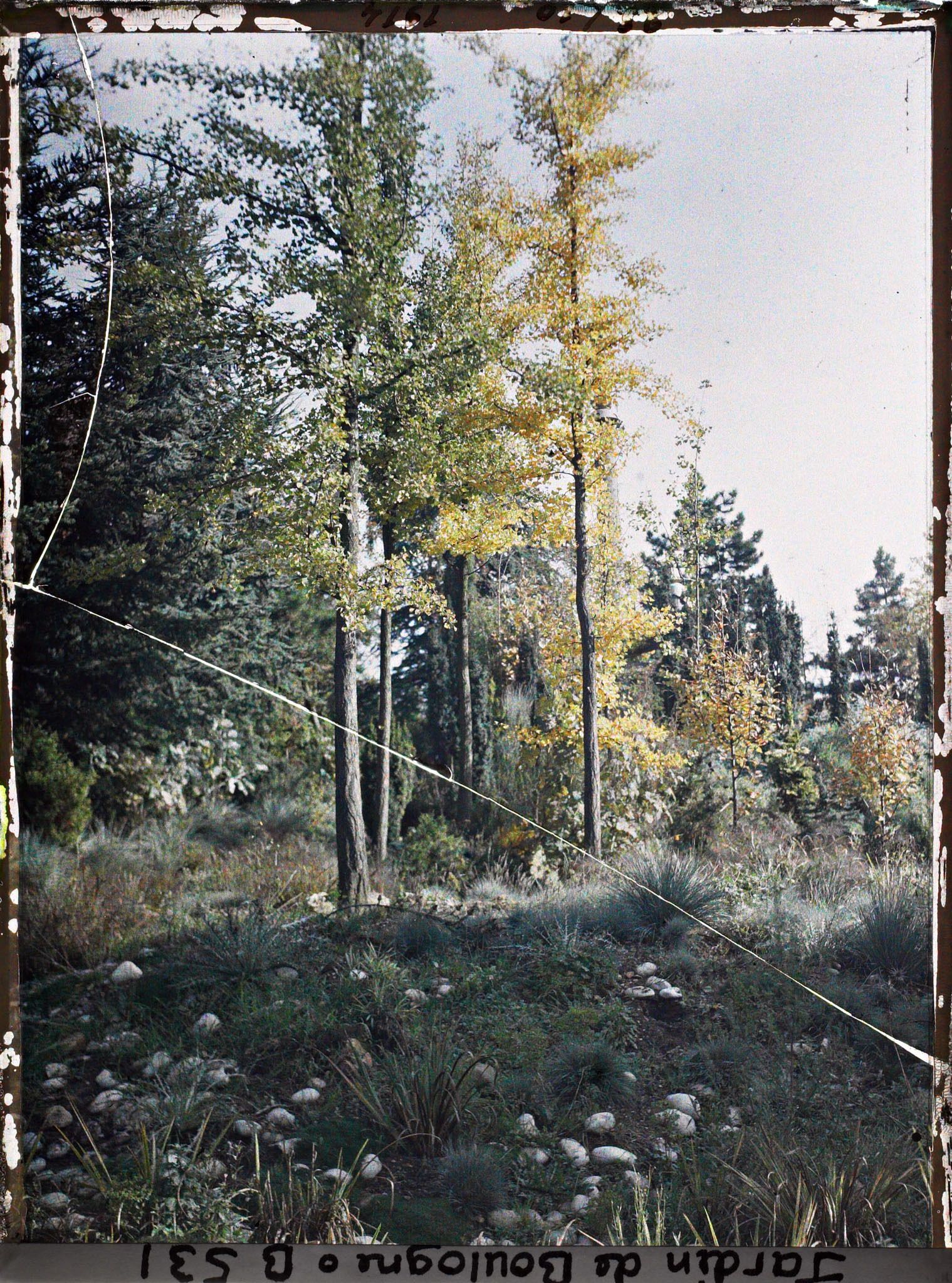 Image représentant Partie rocailleuse du " sanctuaire japonais " située non loin du sôrintô