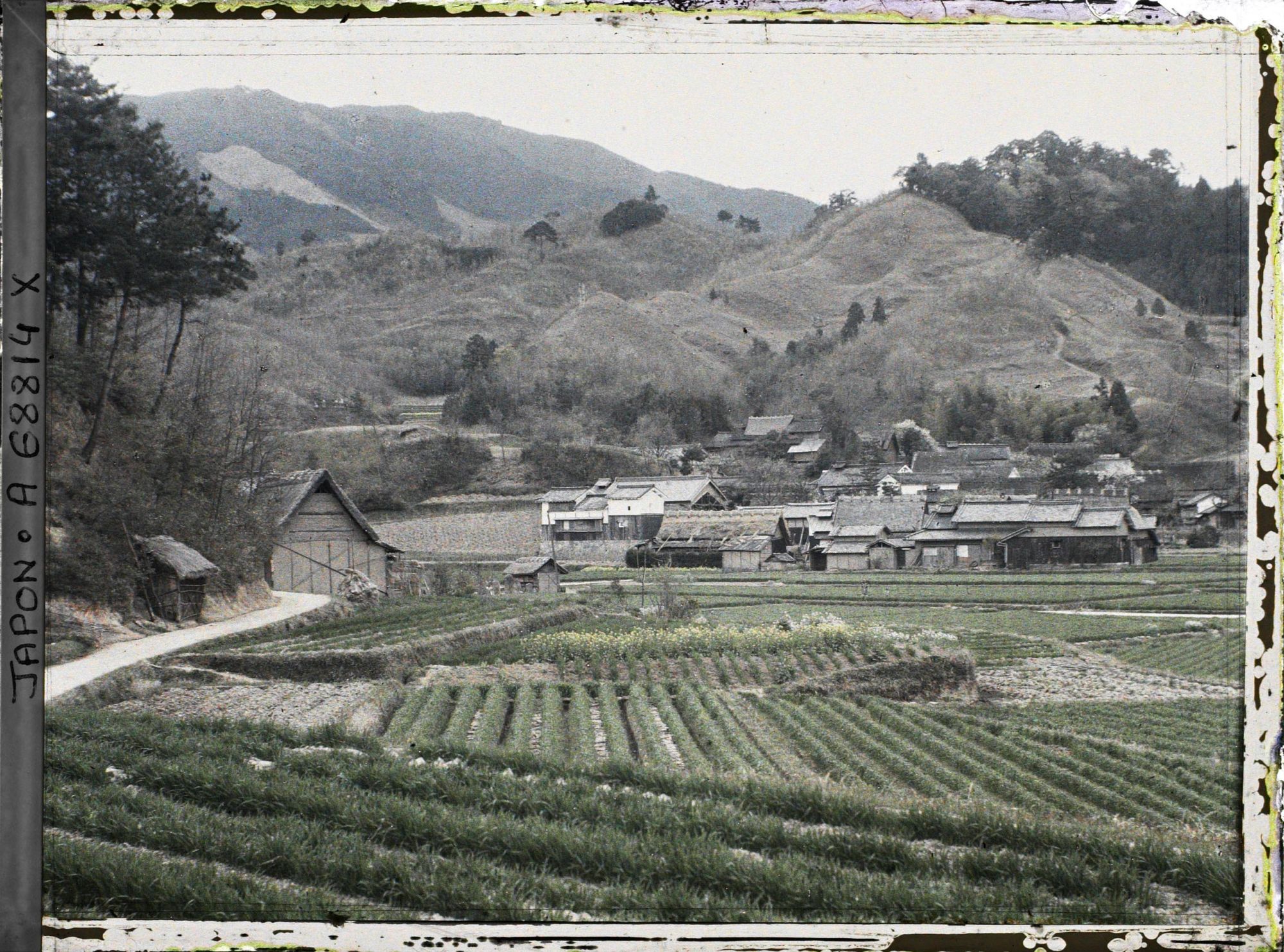 Image représentant Rizières et village sur fond de paysage escarpé