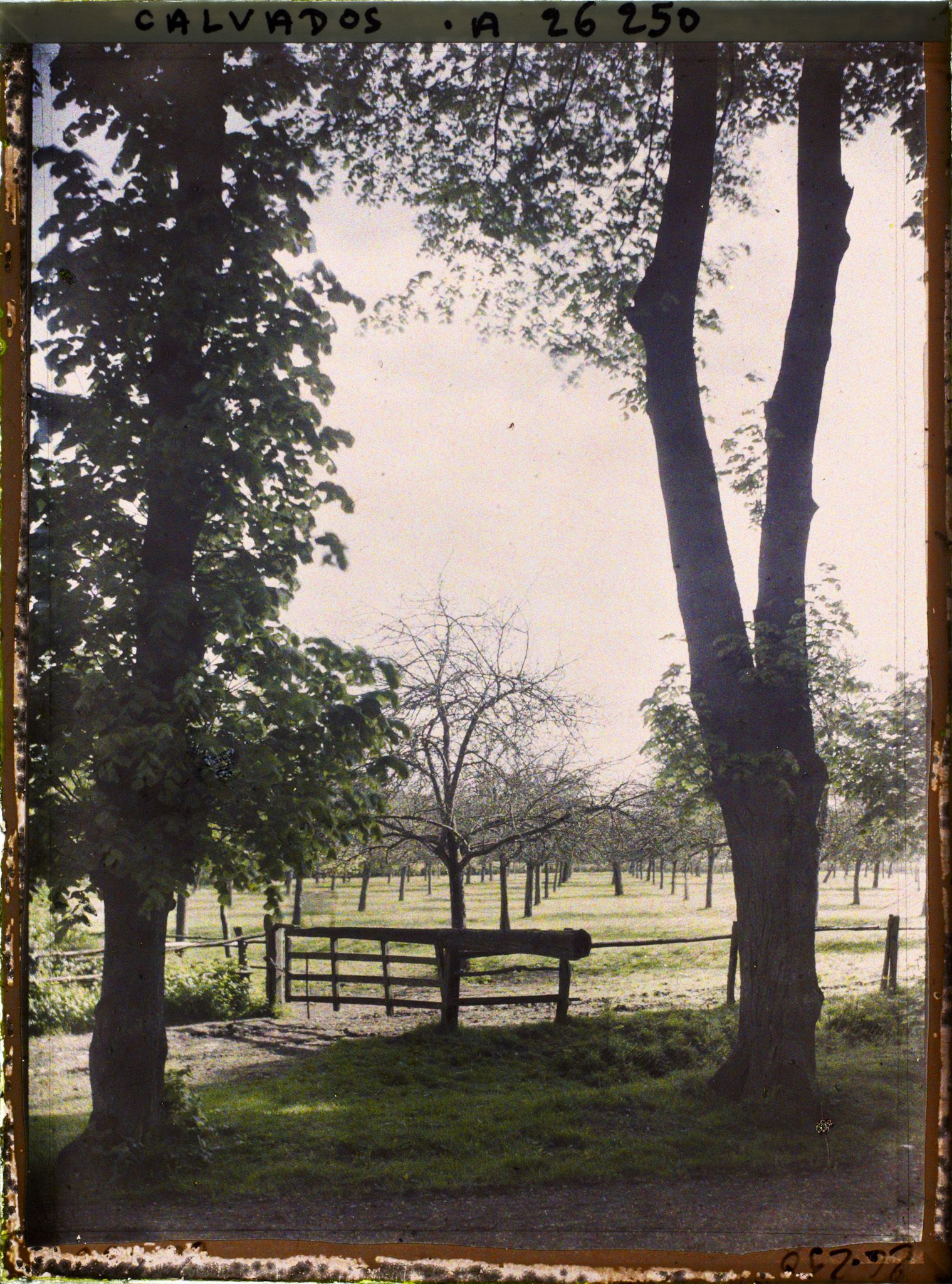 Image représentant Environs de la ferme de " Canon "