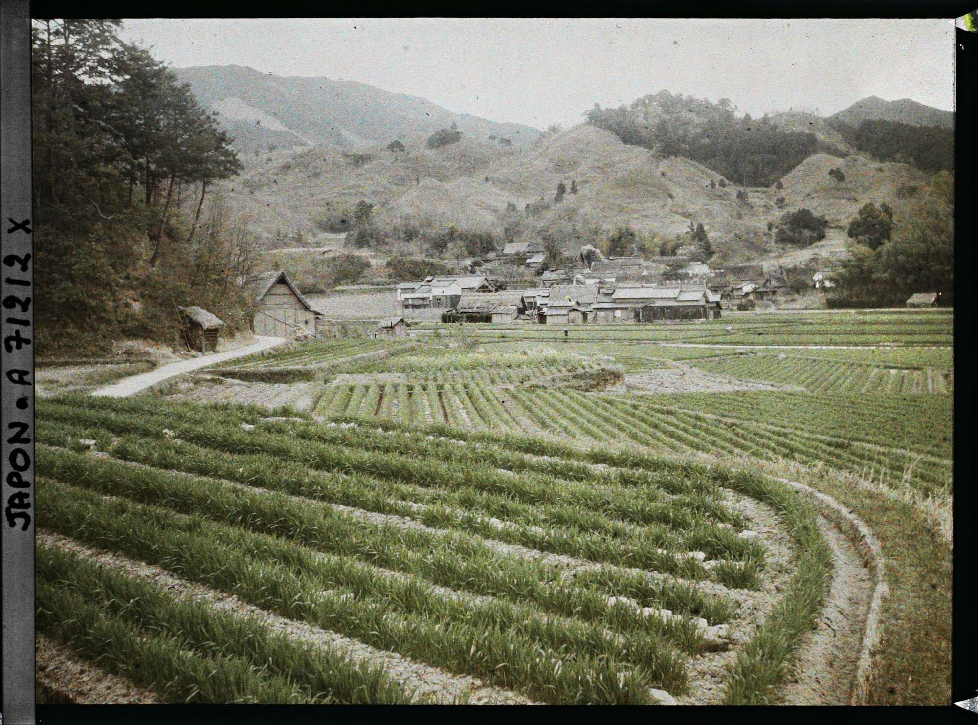 Image représentant Rizières et village sur fond de paysage escarpé