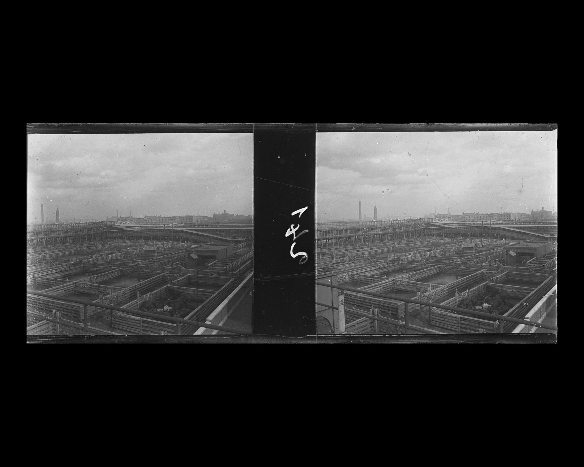 Image représentant Vue sur les enclos à bestiaux de l'Union stokyards