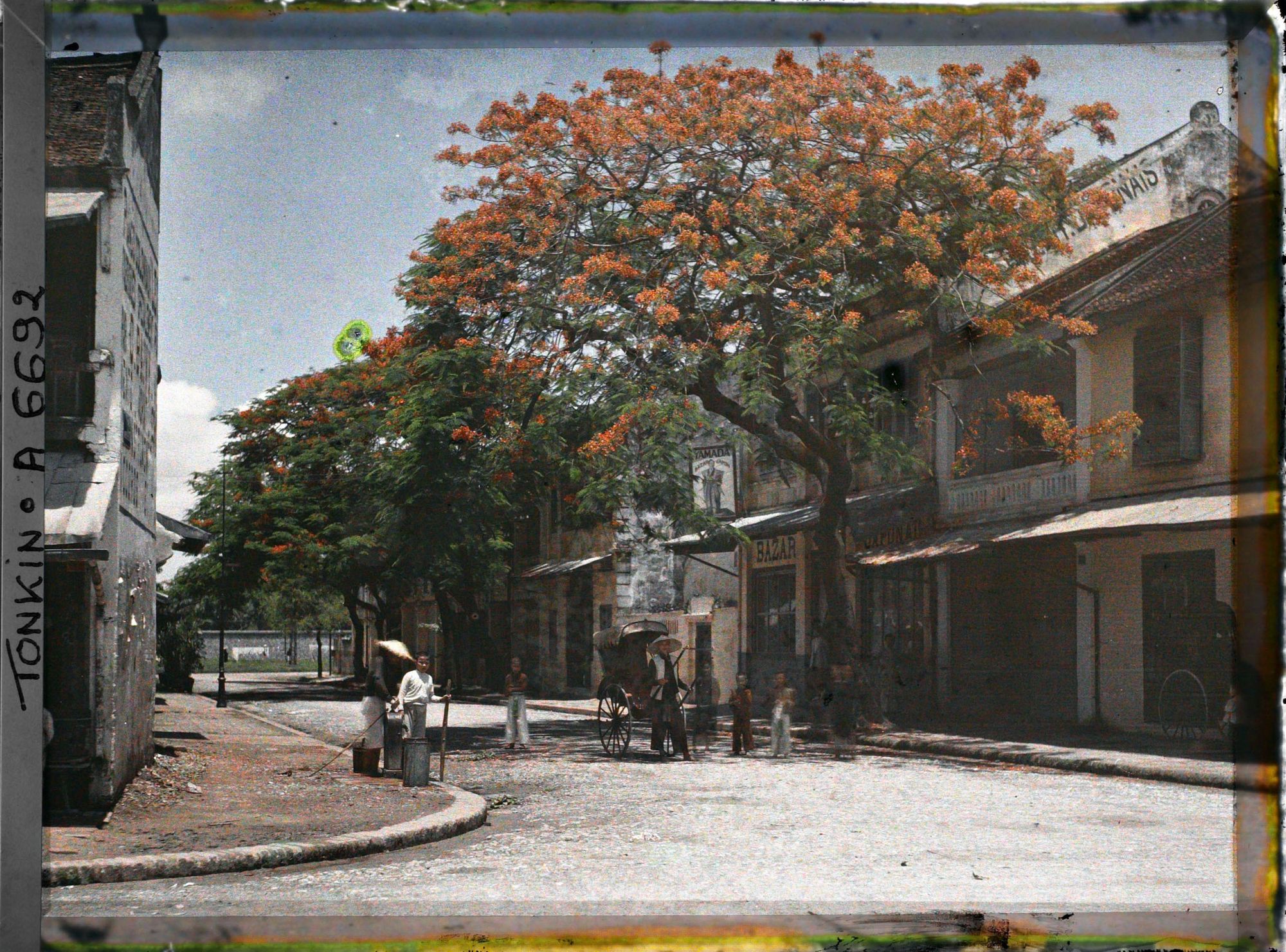 Image représentant Des flamboyants en fleurs, un pousse-pousse et des porteurs d'eau devant le bazar japonais " Yamada " dans la " rue des Tasses "