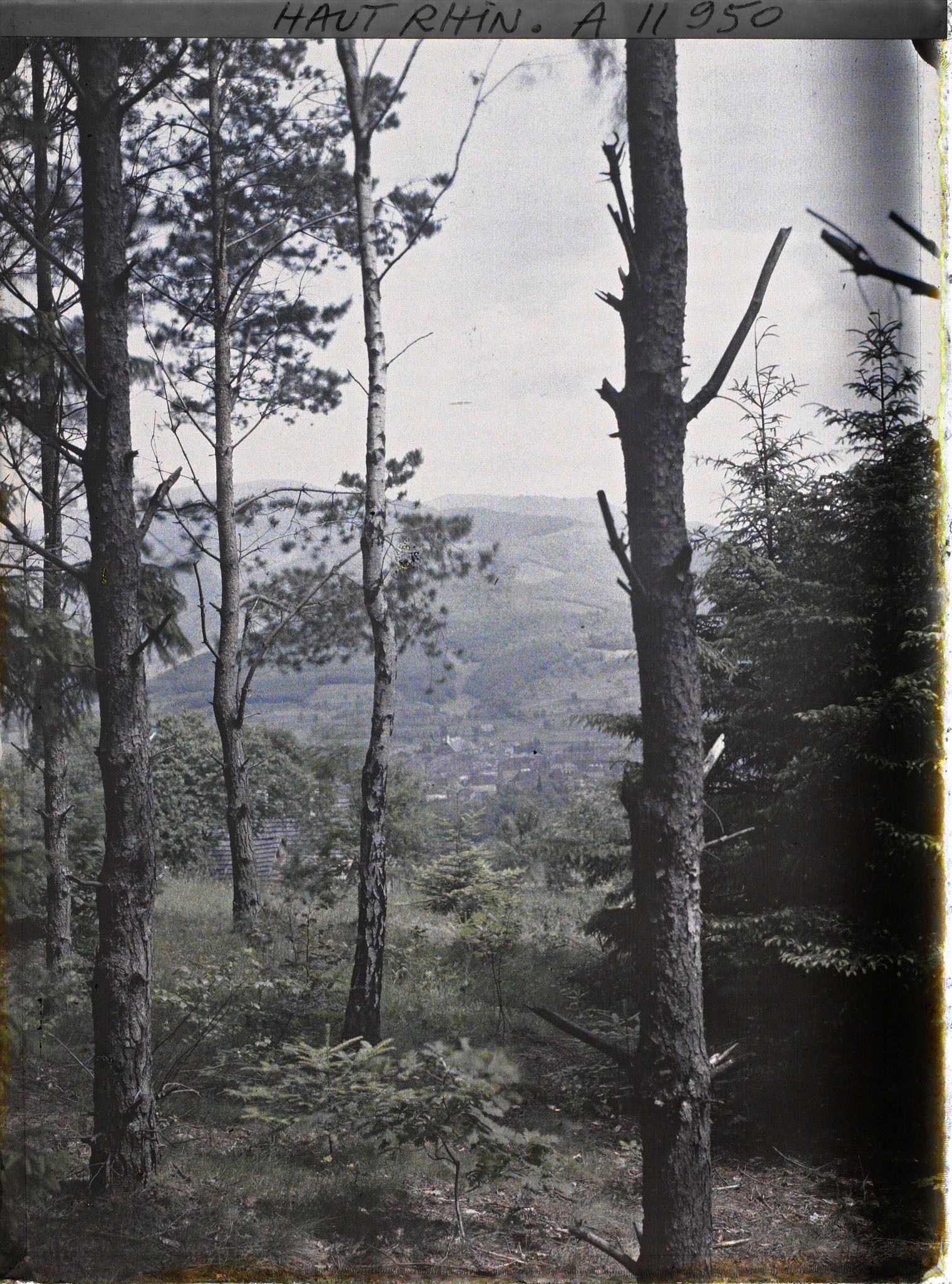 Image représentant Panorama de Masevaux