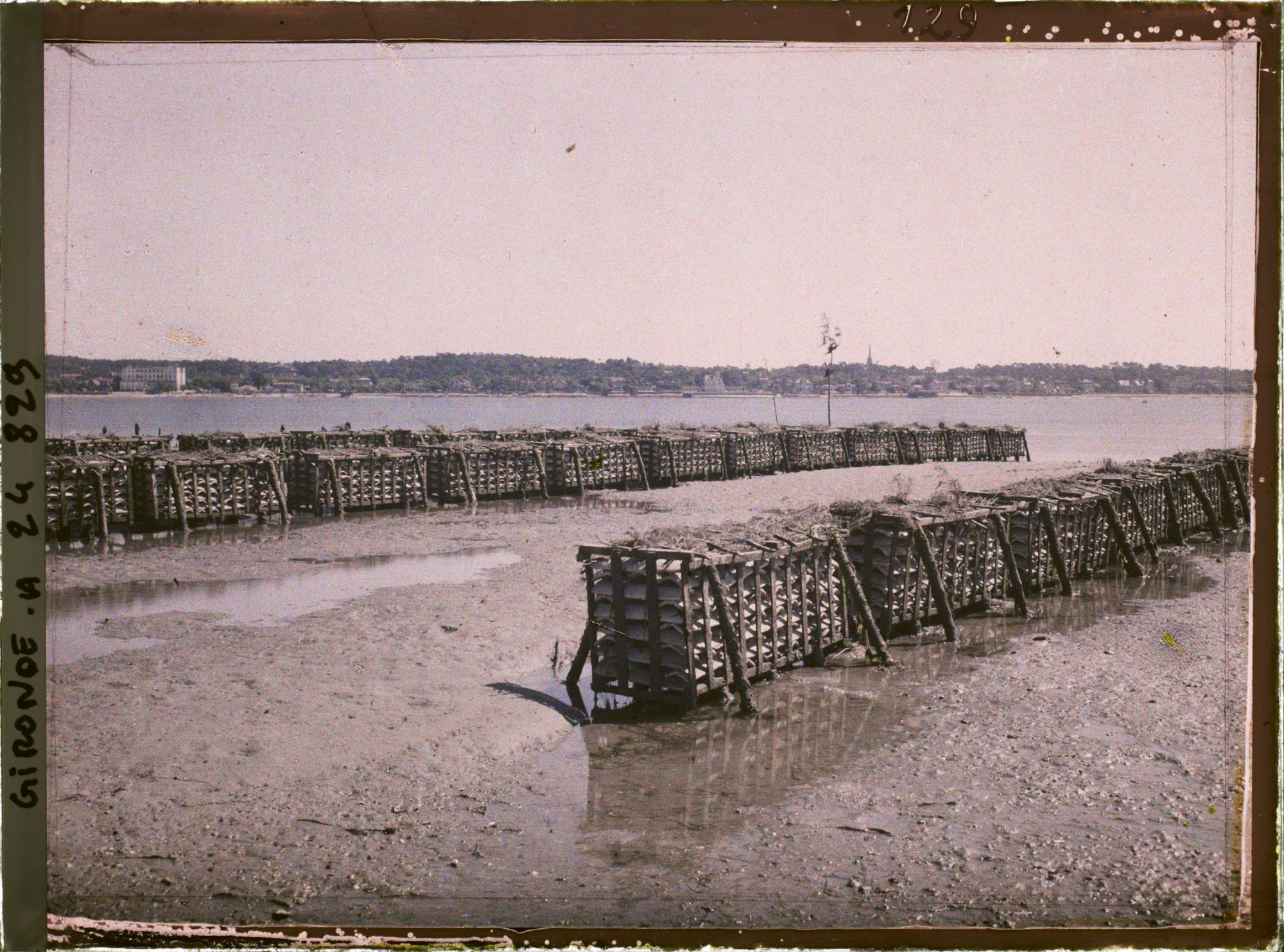 Image représentant Les claires, parc à huitres