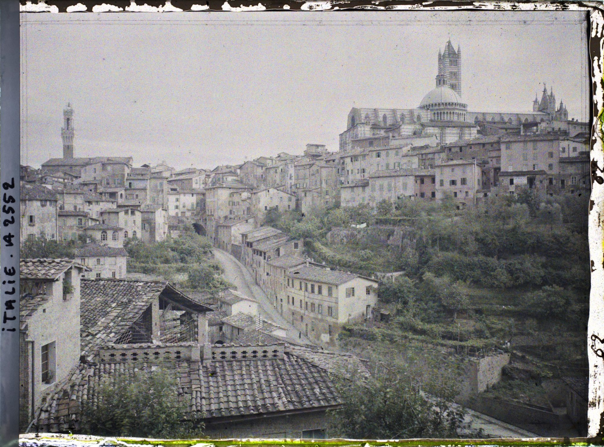 Image représentant Vue sur le Dôme, la tour del Mangia et les habitations