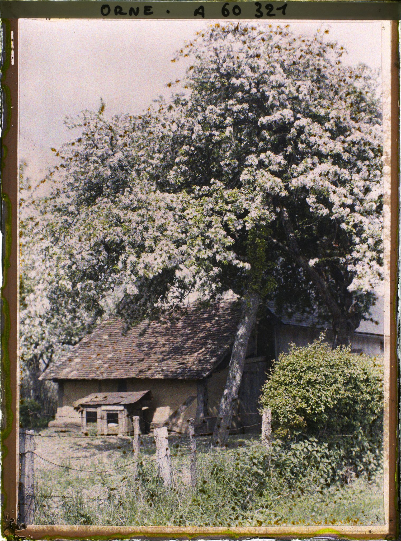 Image représentant Une ferme