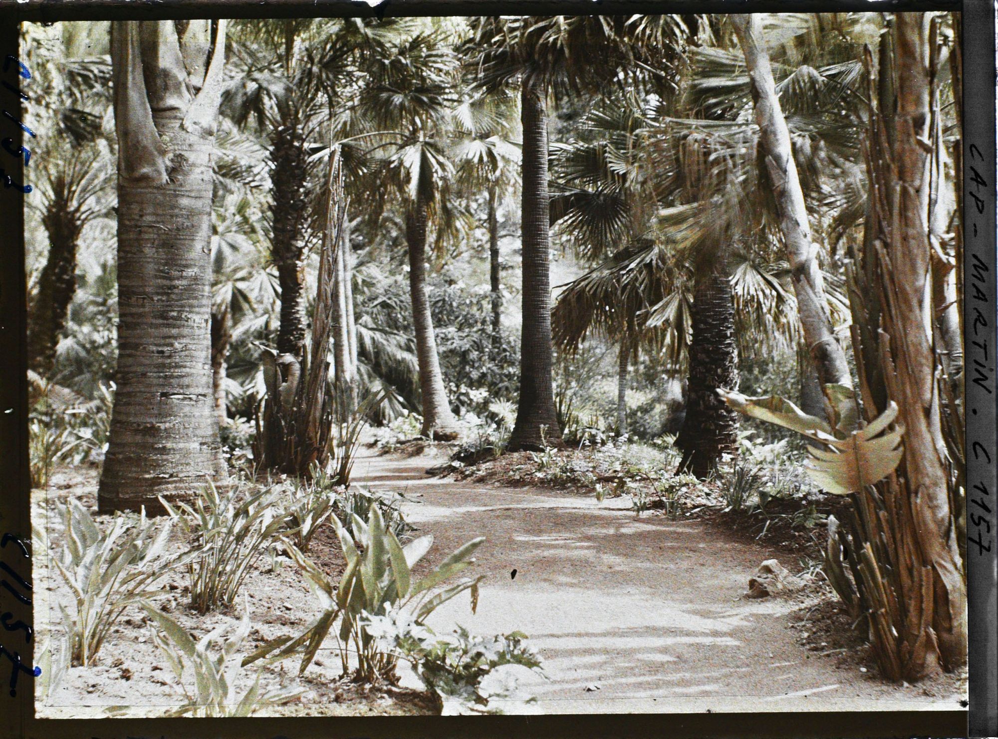 Image représentant le jardin