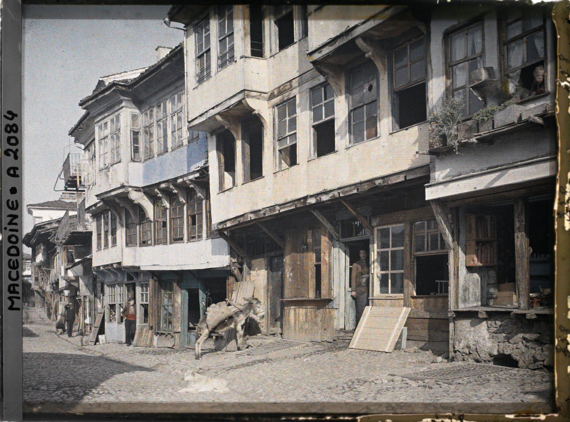 Image représentant Rue (Samoilova) avec âne et chien