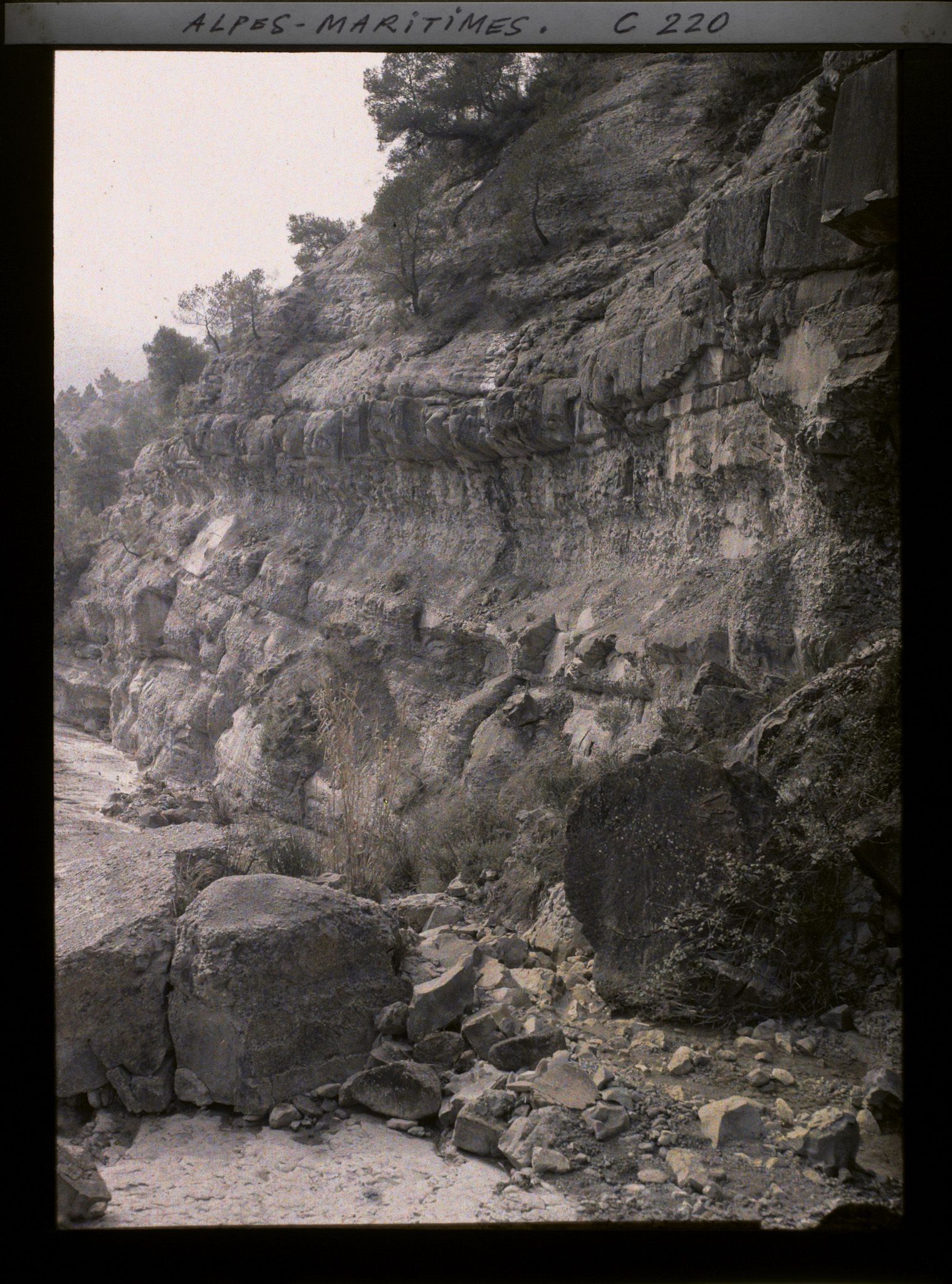 Image représentant Couches géologiques d'une falaise, col de Bromes, dans les environs de Nice