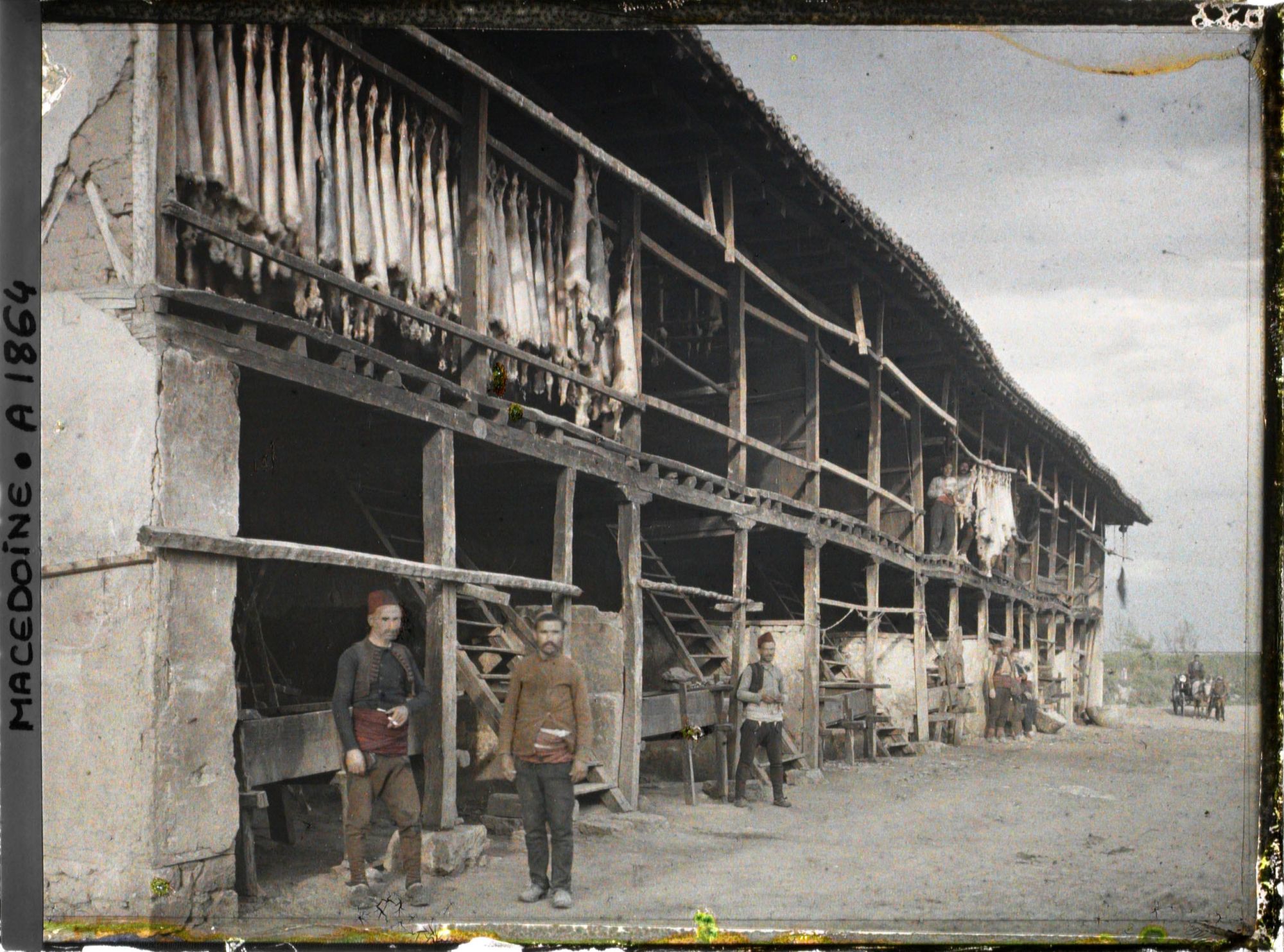 Image représentant La tannerie, séchage de peaux