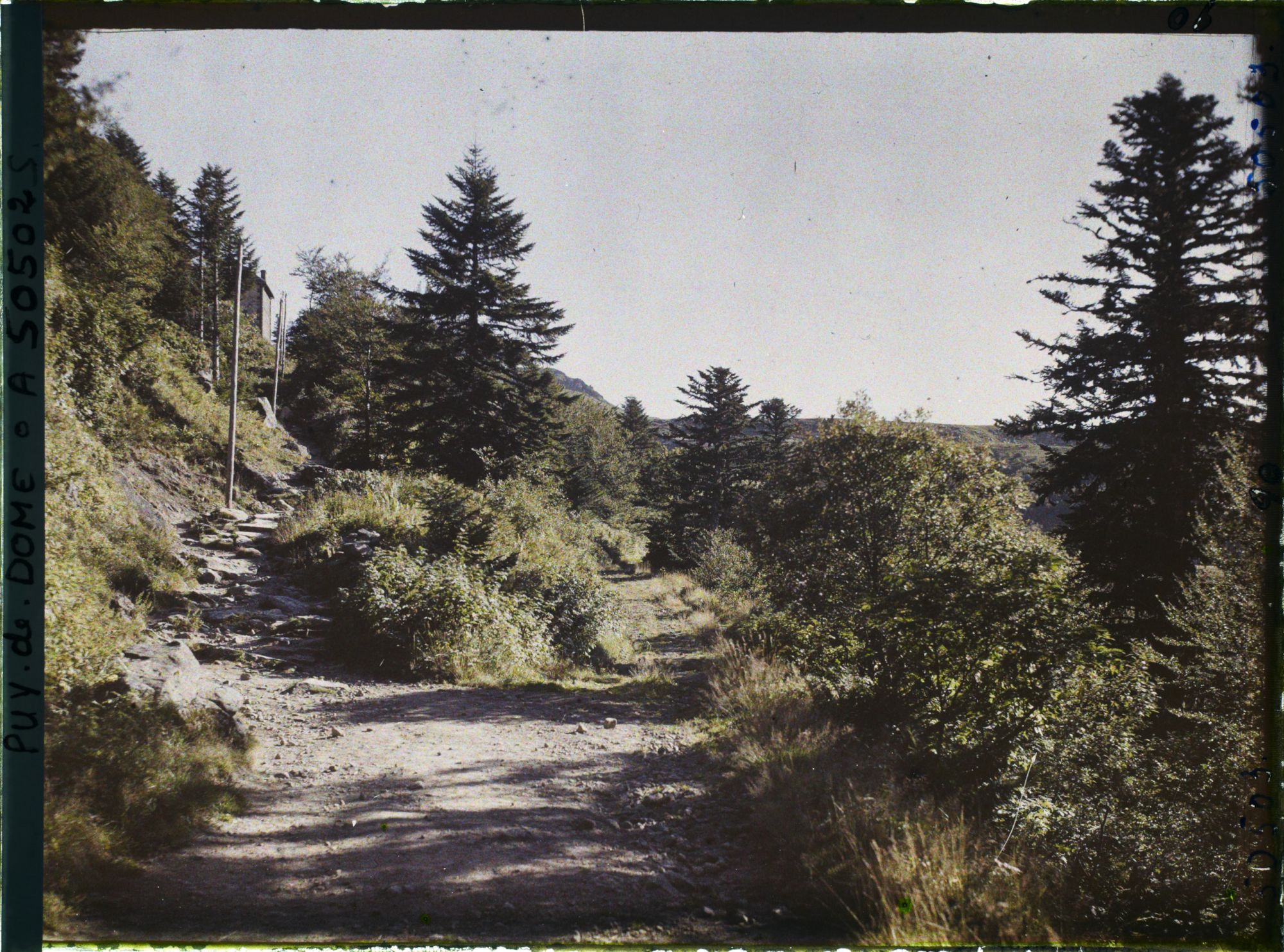 Image représentant France, Mont Dore, Route Conduisant au Pic du Capucin
