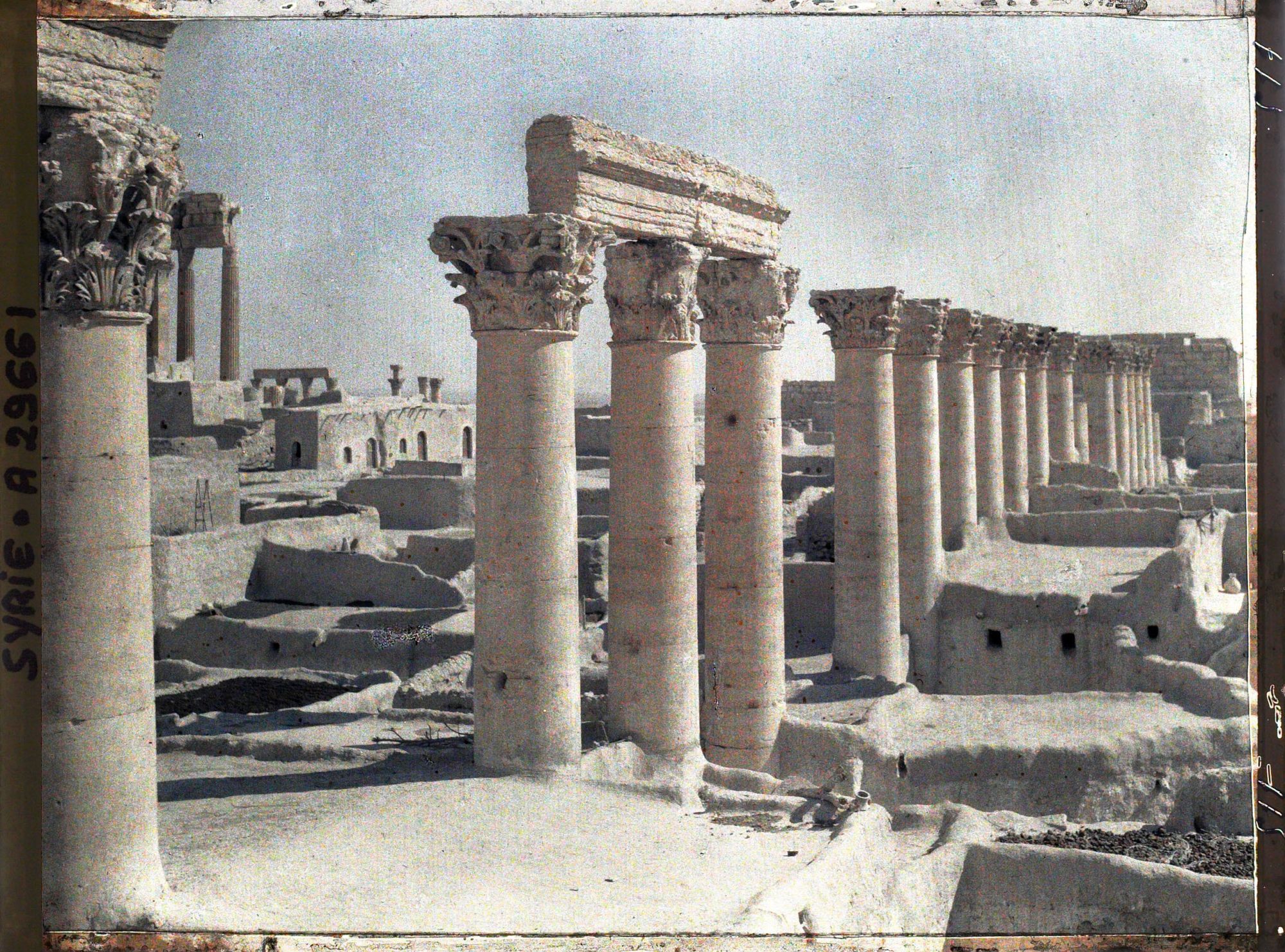 Image représentant Vestiges de colonnes sur l'esplanade du Temple de Bêl