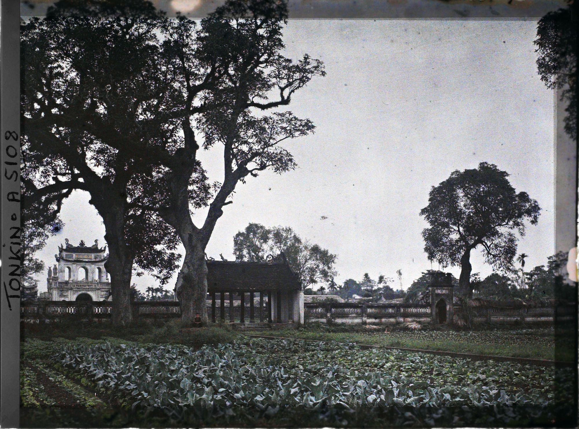 Image représentant Le Van-mieu, temple confucéen de la " Culture littéraire ", dans le quartier de la Citadelle (route de Sinh-tu)
