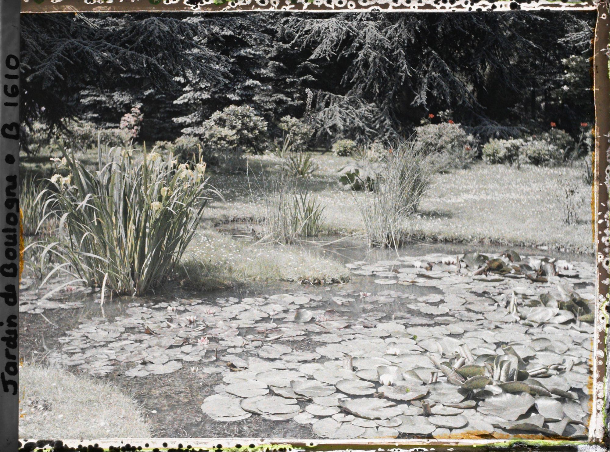 Image représentant les étangs du marais