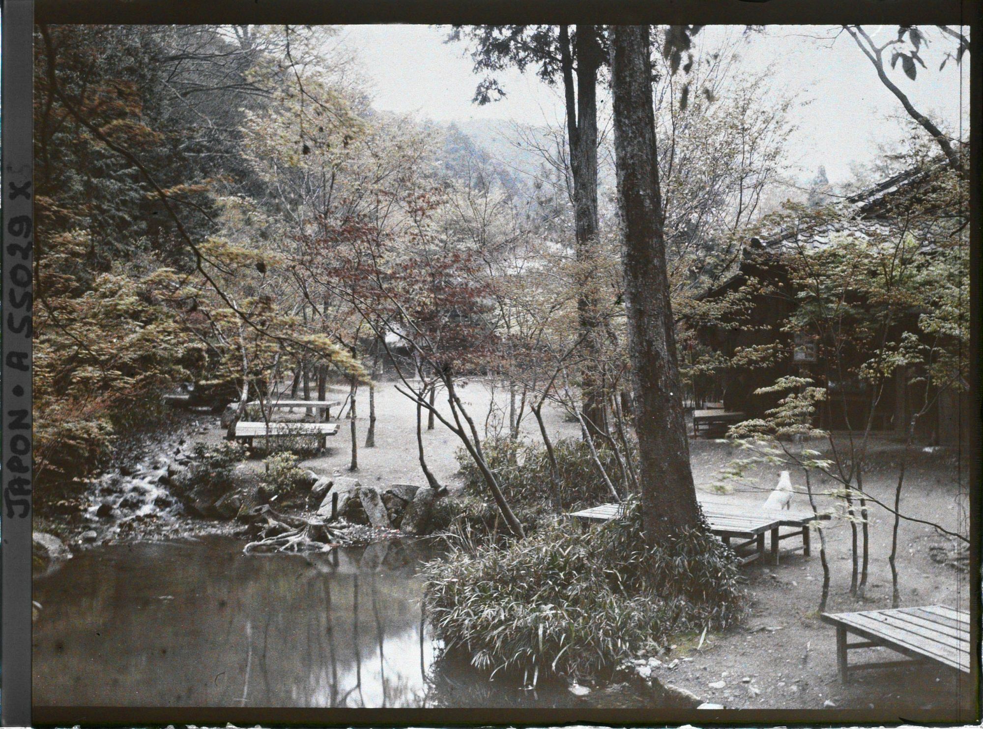 Image représentant Temple Eikan-dô Zenrin-ji