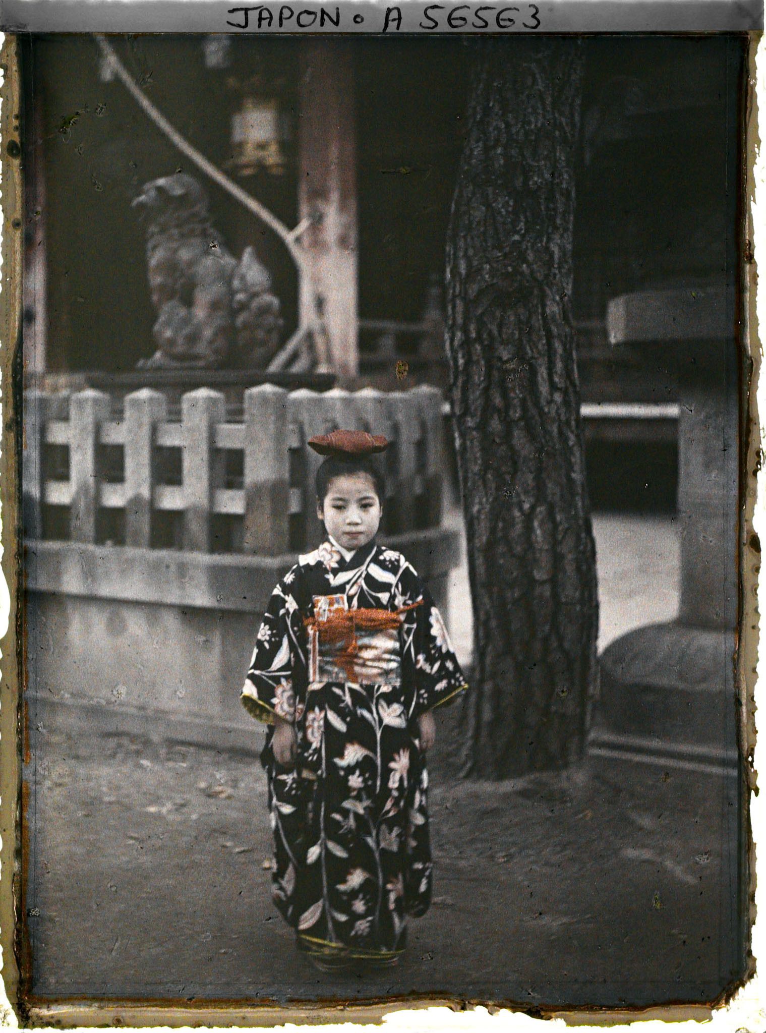 Image représentant Fête des enfants Shichi-go-san (" sept-cinq-trois ") au sanctuaire Yasaka-jinja