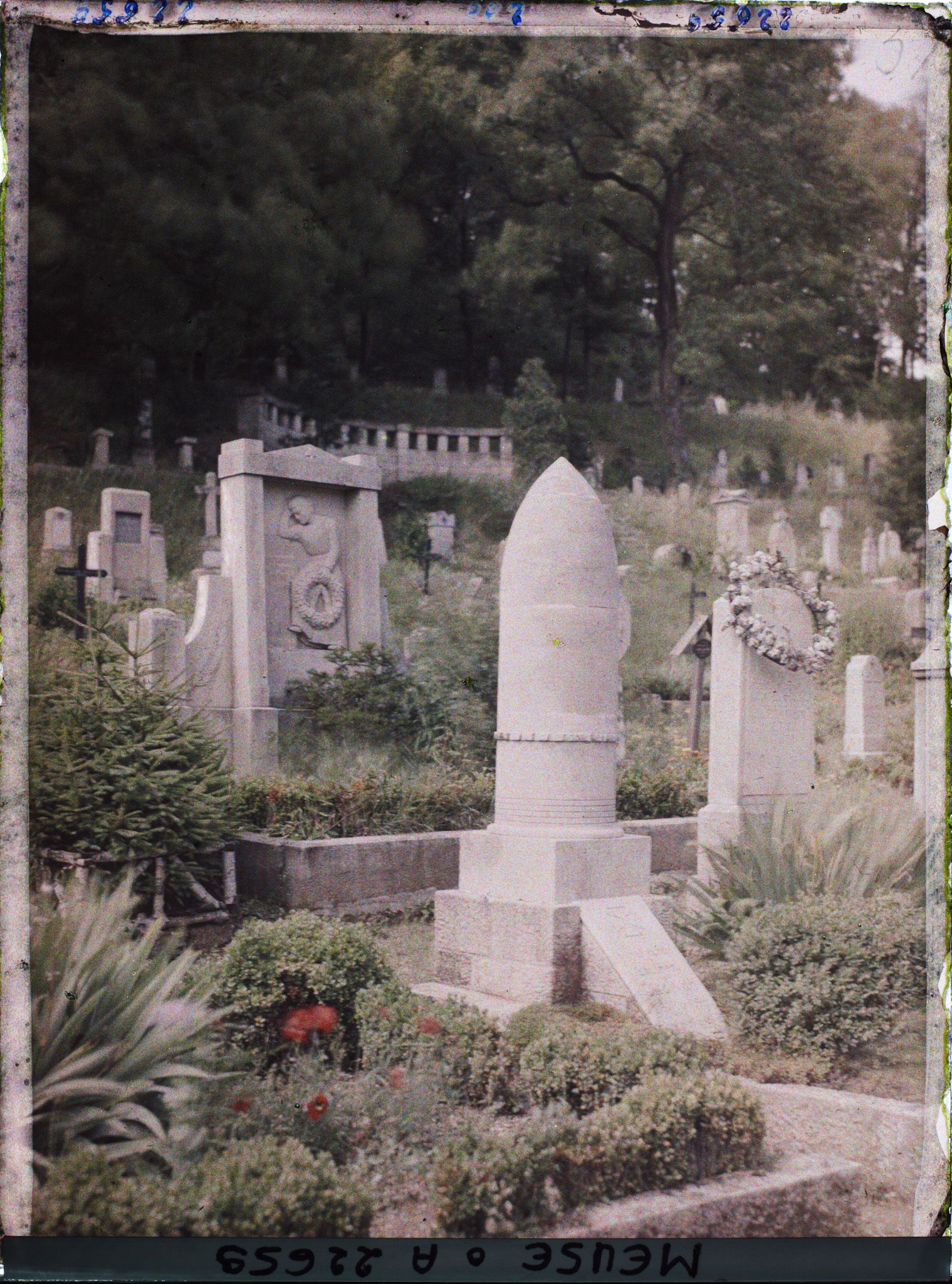 Image représentant France, St Mihiel, Un Coin du Cimetière Allemand