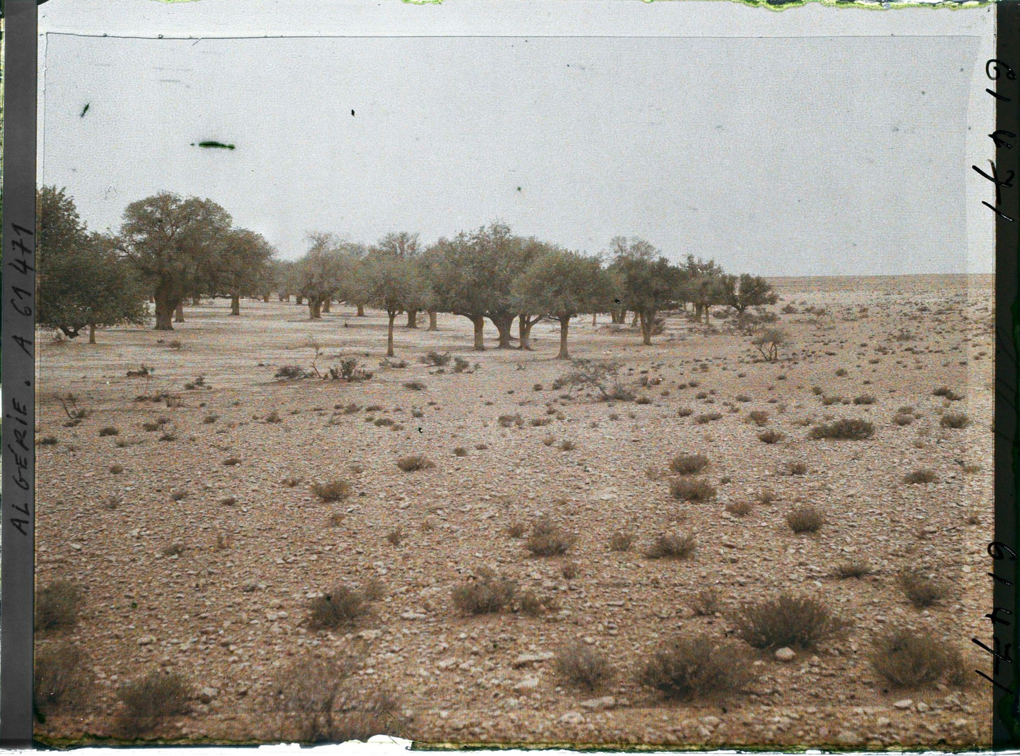 Image représentant La dépression du sol formant la daya