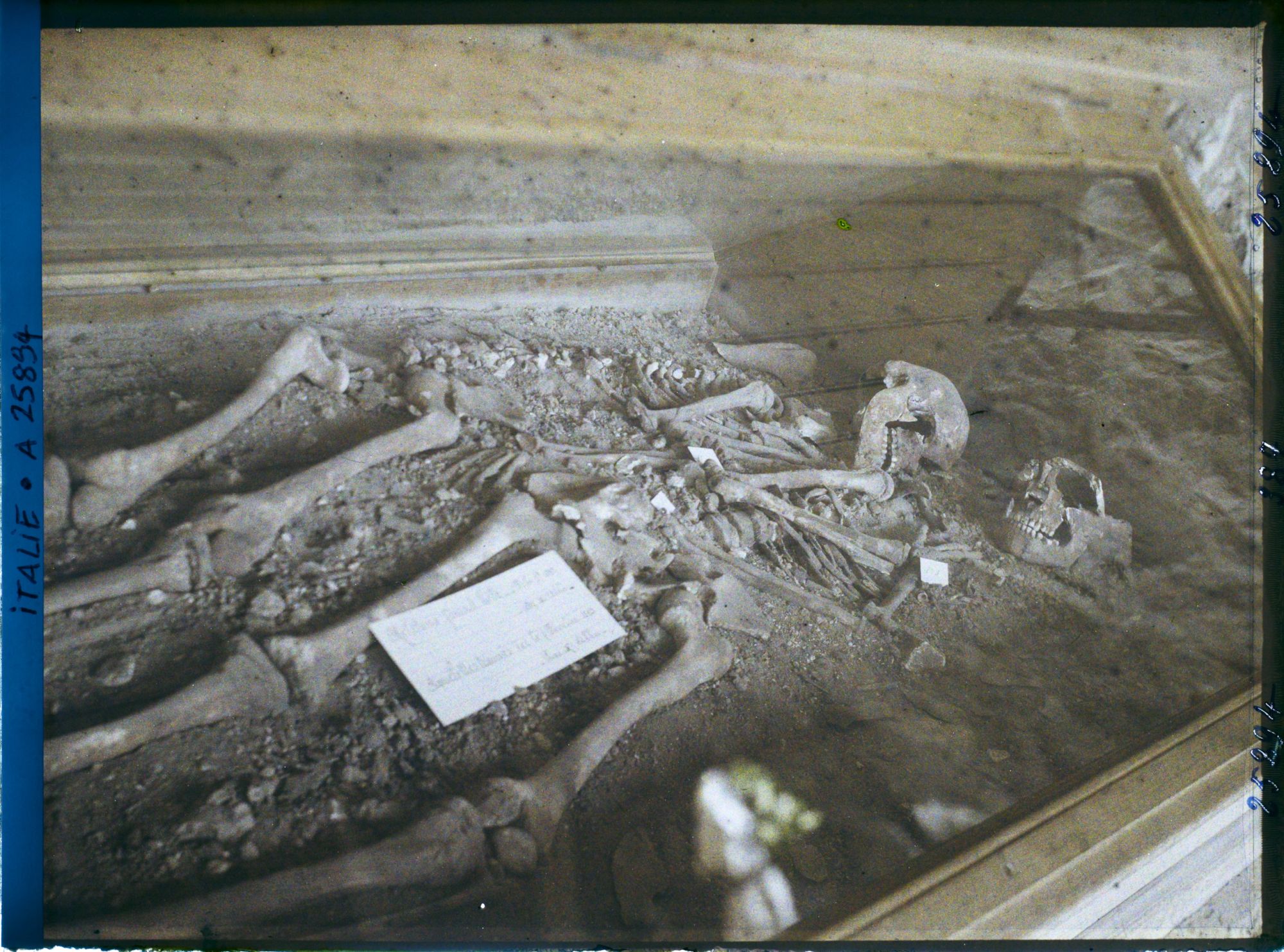 Image représentant Squelettes trouvés grotte Barma Grande