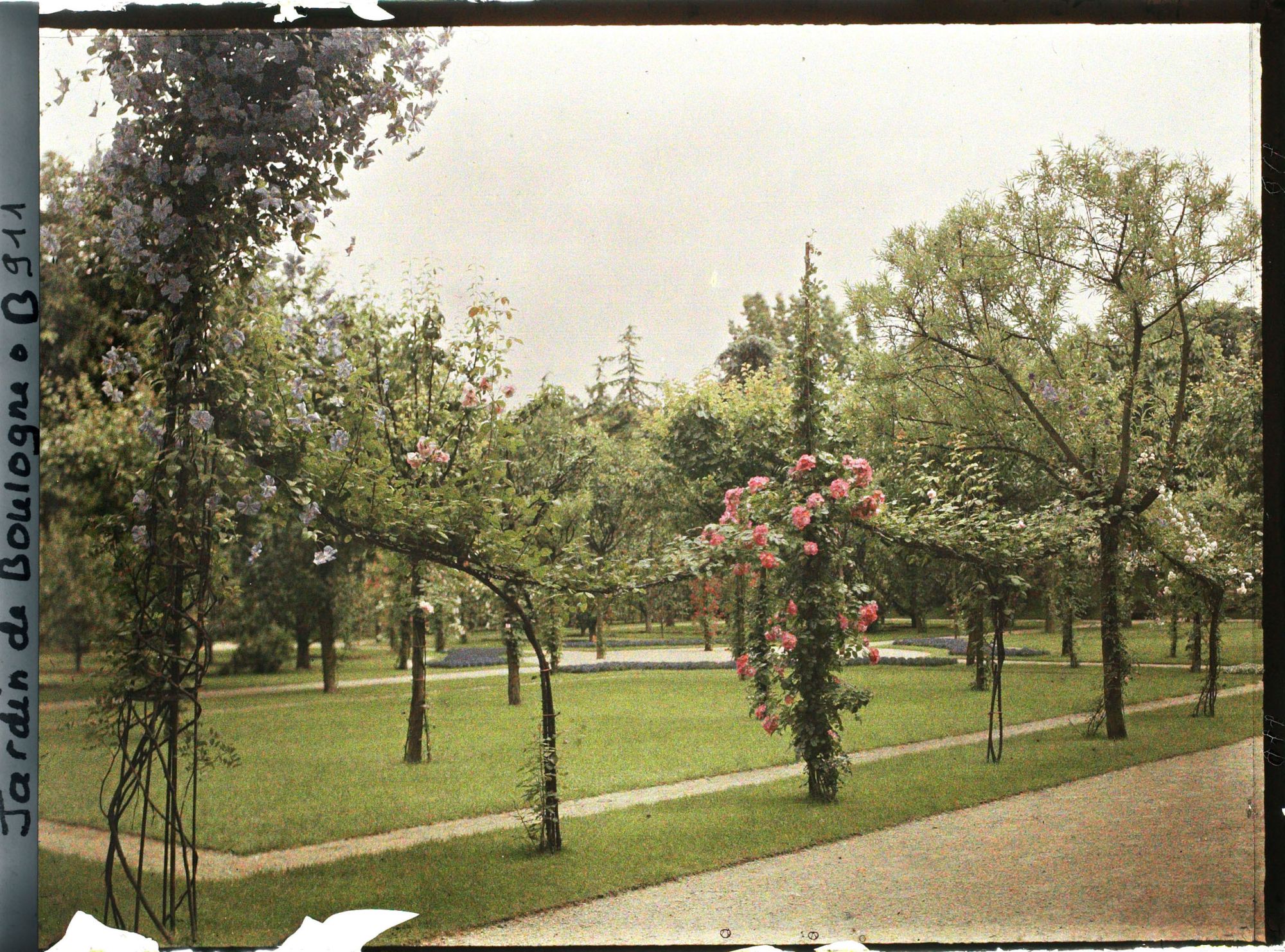 Image représentant Le verger-roseraie vu à proximité de la dépendance, depuis l'angle nord-ouest
