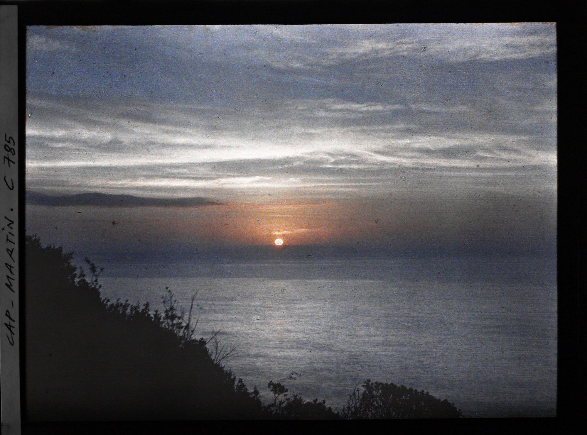 Image représentant Végétation se découpant en ombre chinoise sur la mer, lors d'un lever de soleil au cap Martin