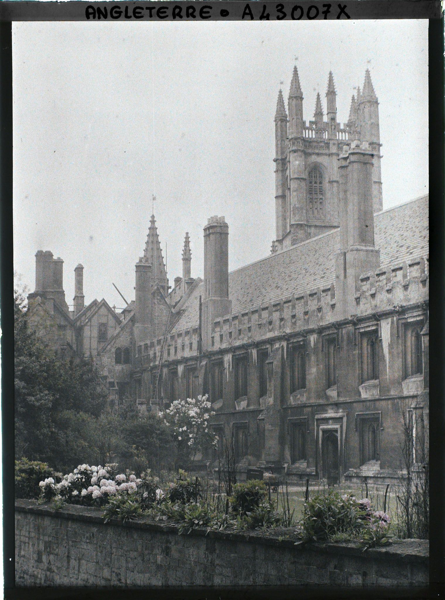 Image représentant Le Magdalen College du côté jardin