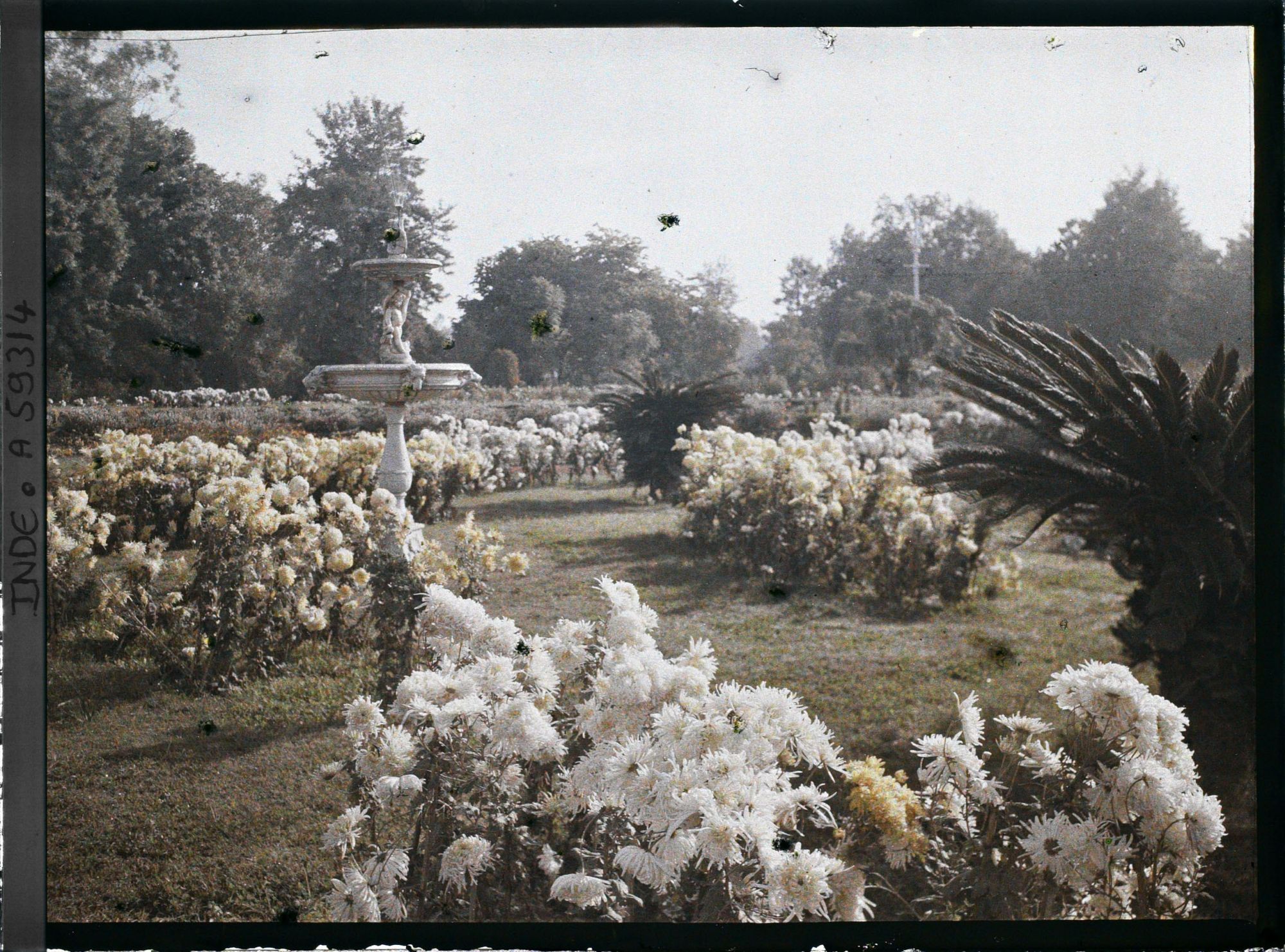 Image représentant Jardin du palais Jagatijit