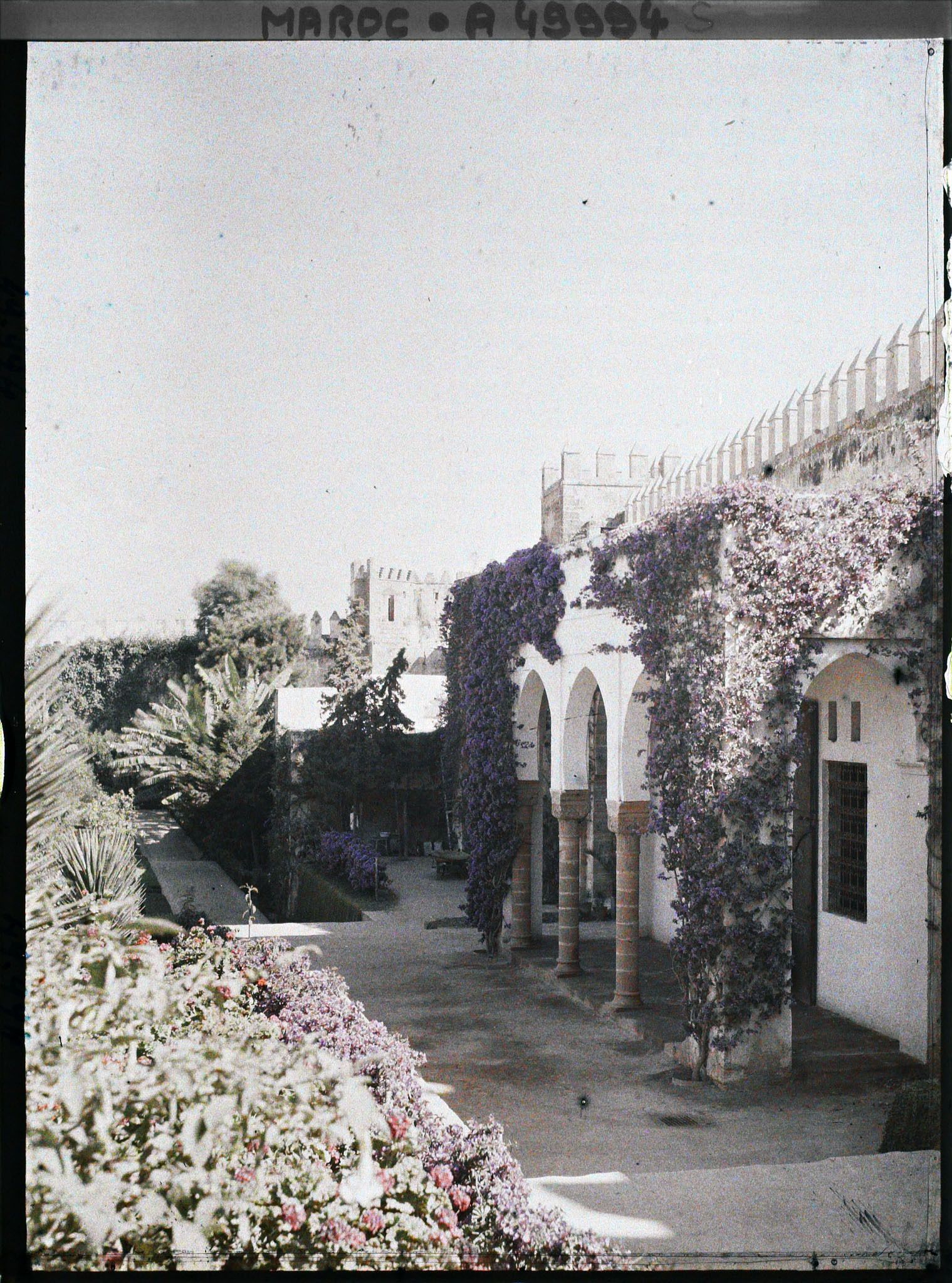 Image représentant Une partie des jardins de la médersa des Oudaïa
