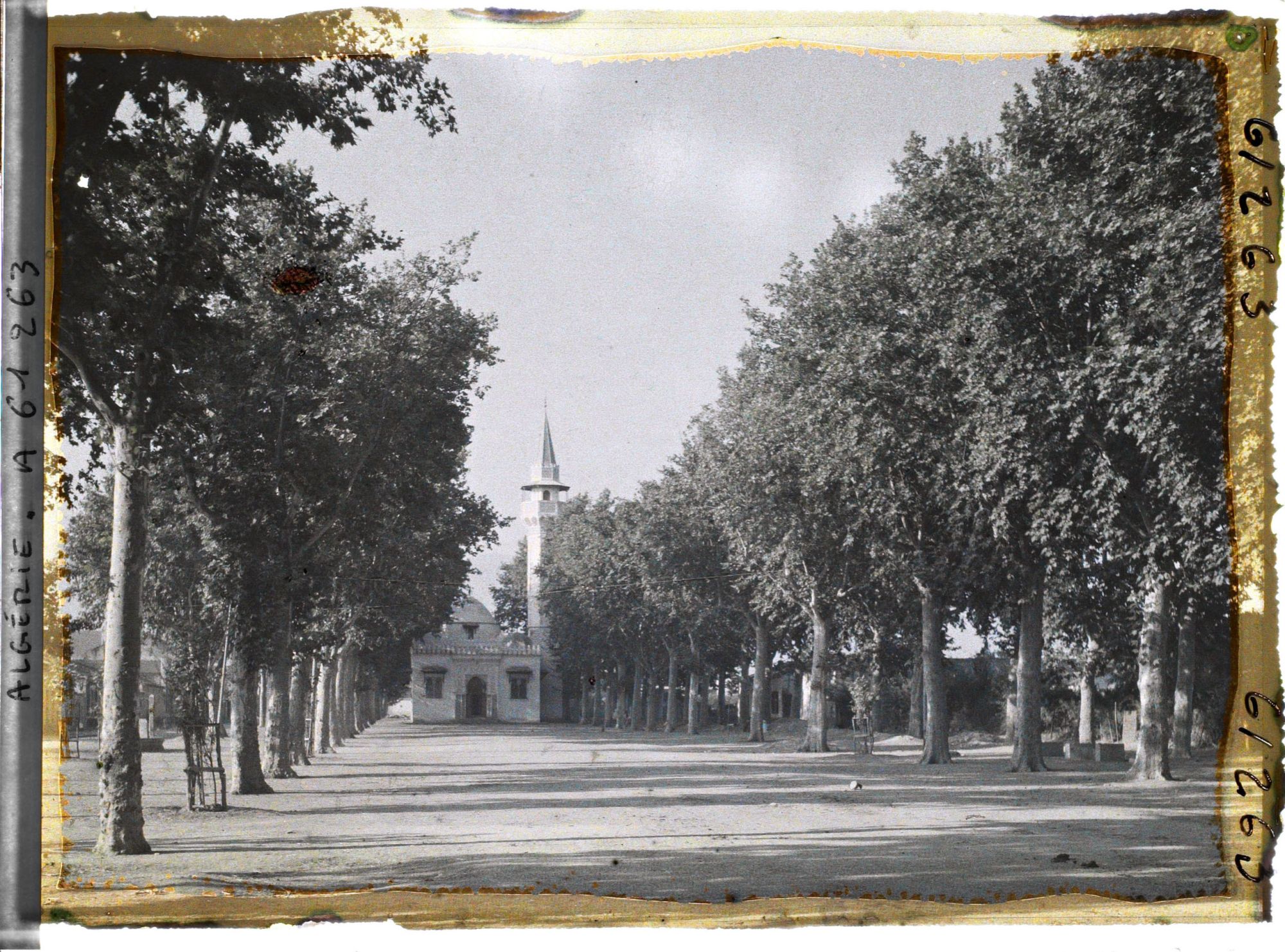 Image représentant Avenue de la Mosquée