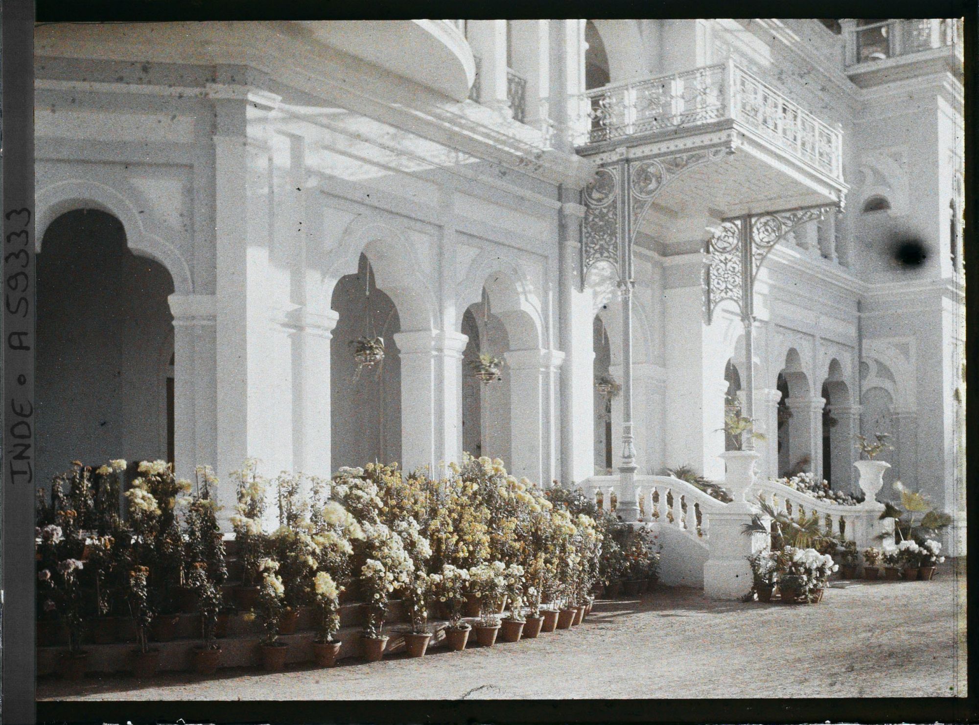 Image représentant La galerie de la villa Buona Vista