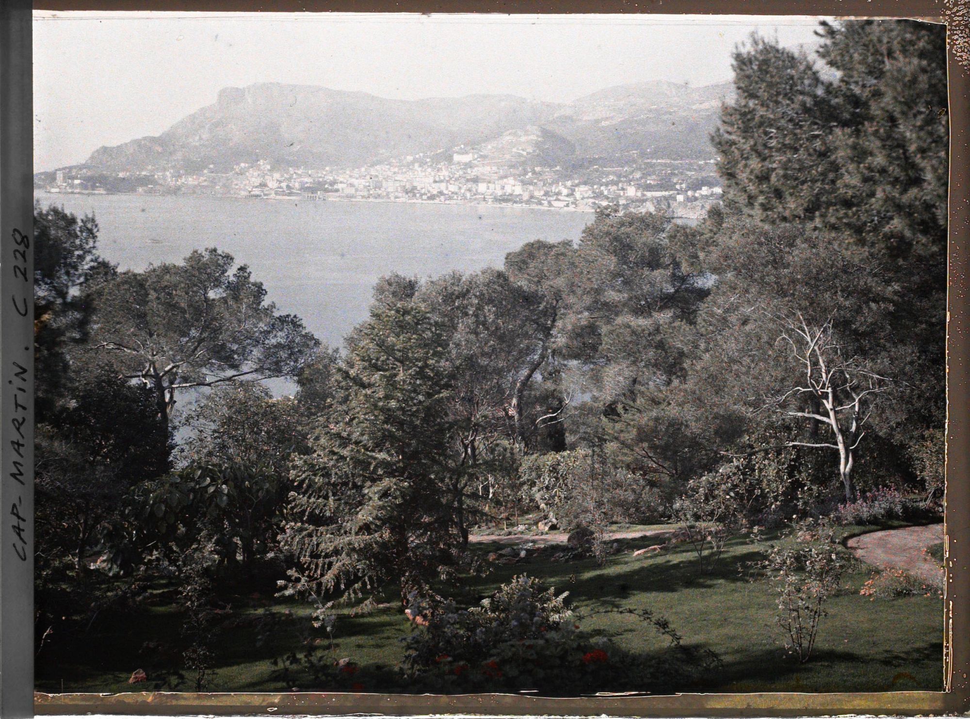 Image représentant Cap-Martin - Vue prise du Jardin de Dunure