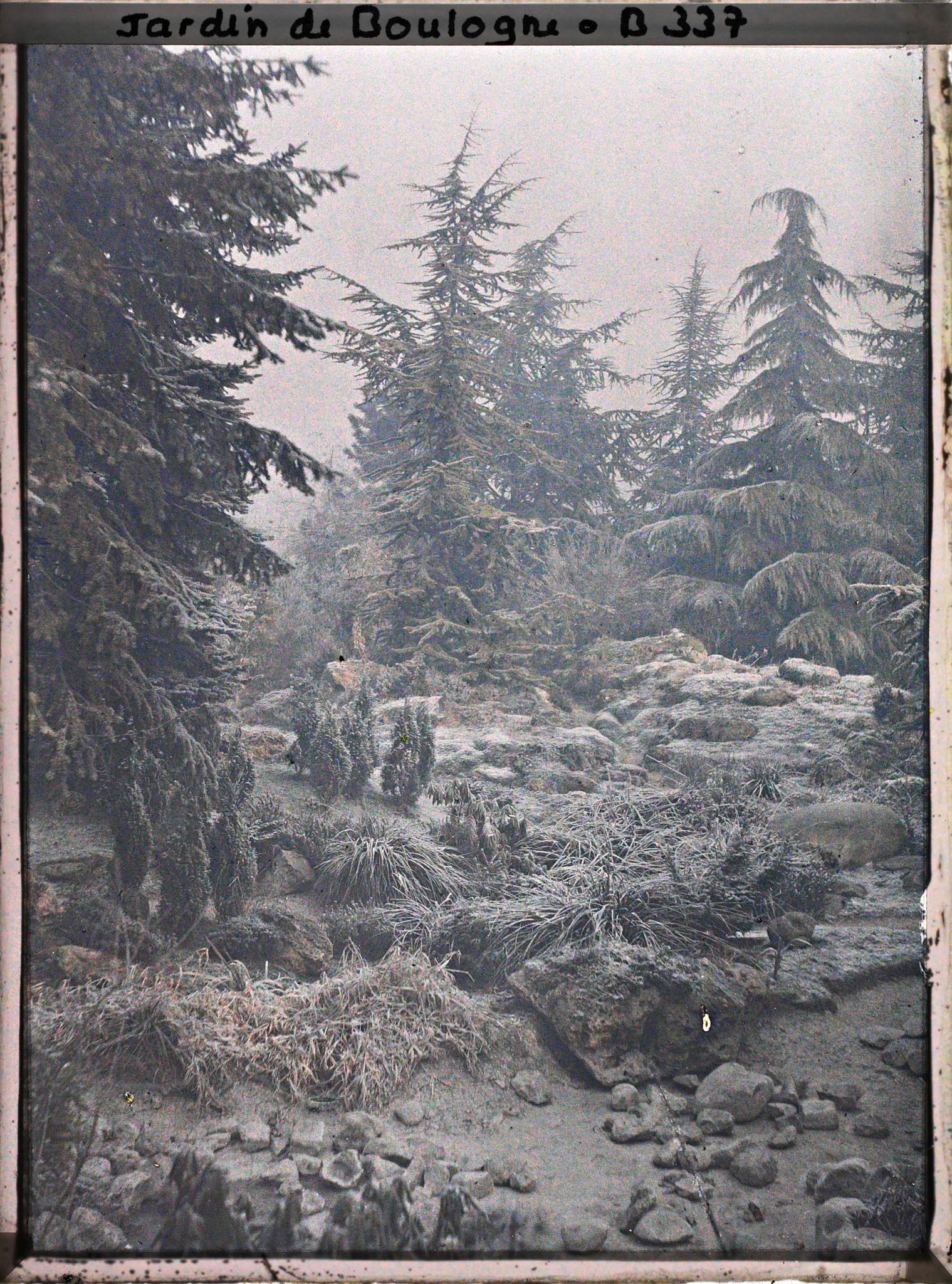 Image représentant Bassin et butte du " sanctuaire japonais " sous le givre, non loin de la façade de temple