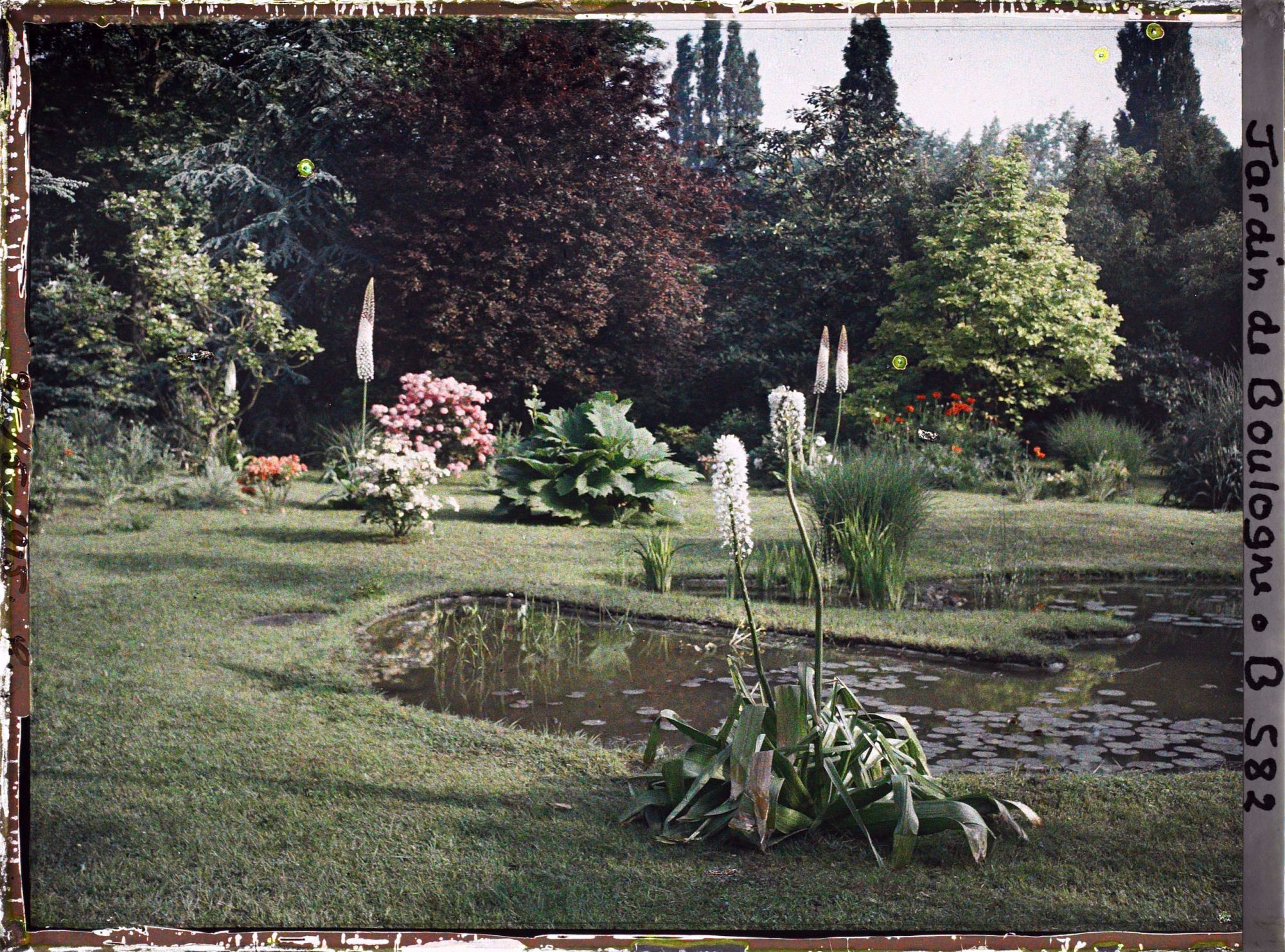 Image représentant IF7932_B000582.jpg