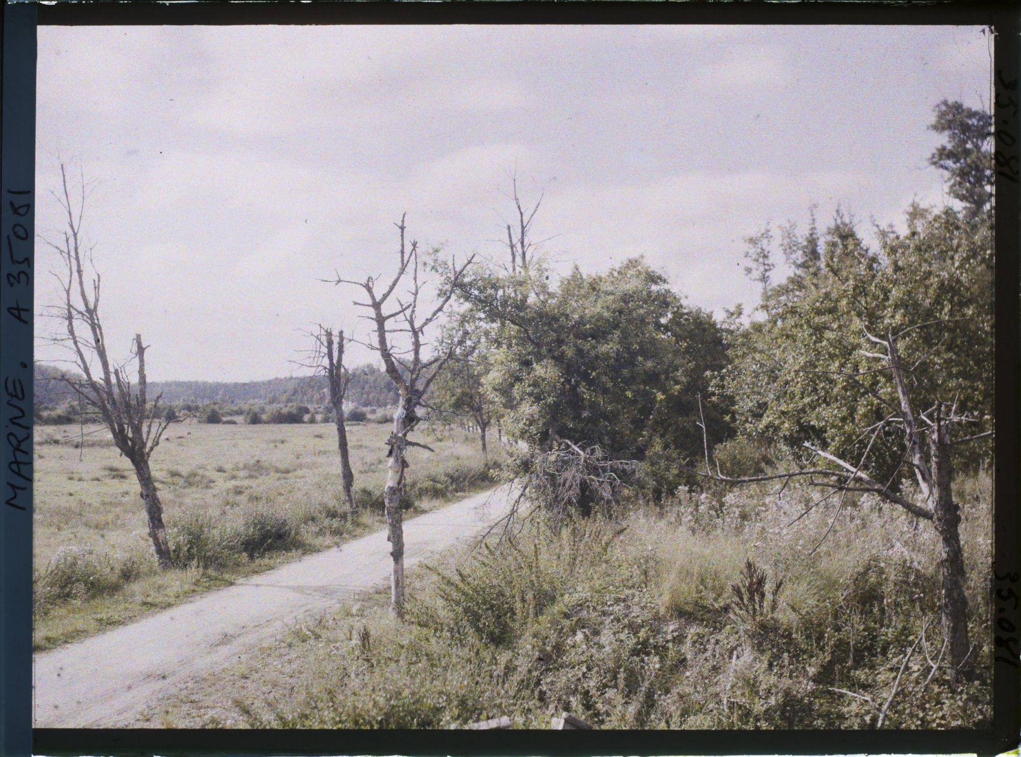 Image représentant France, De la Harazée au Four de Paris , Un coin de la Vallée de Bienne, vue prise de ladite route