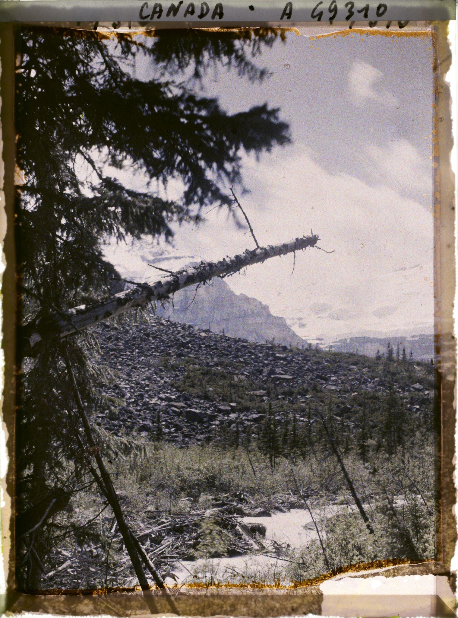 Image représentant Canada, Lac Louise, Torrent Victoria et Glacier Victoria (contre jour)