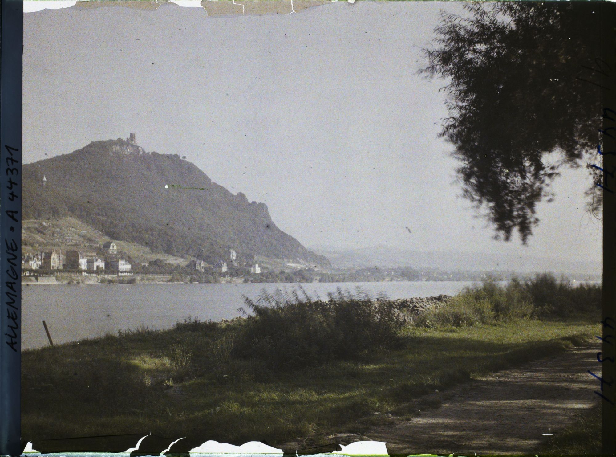 Image représentant Allemagne, Mehlem, Le Drachenfels vu de la rive gauche