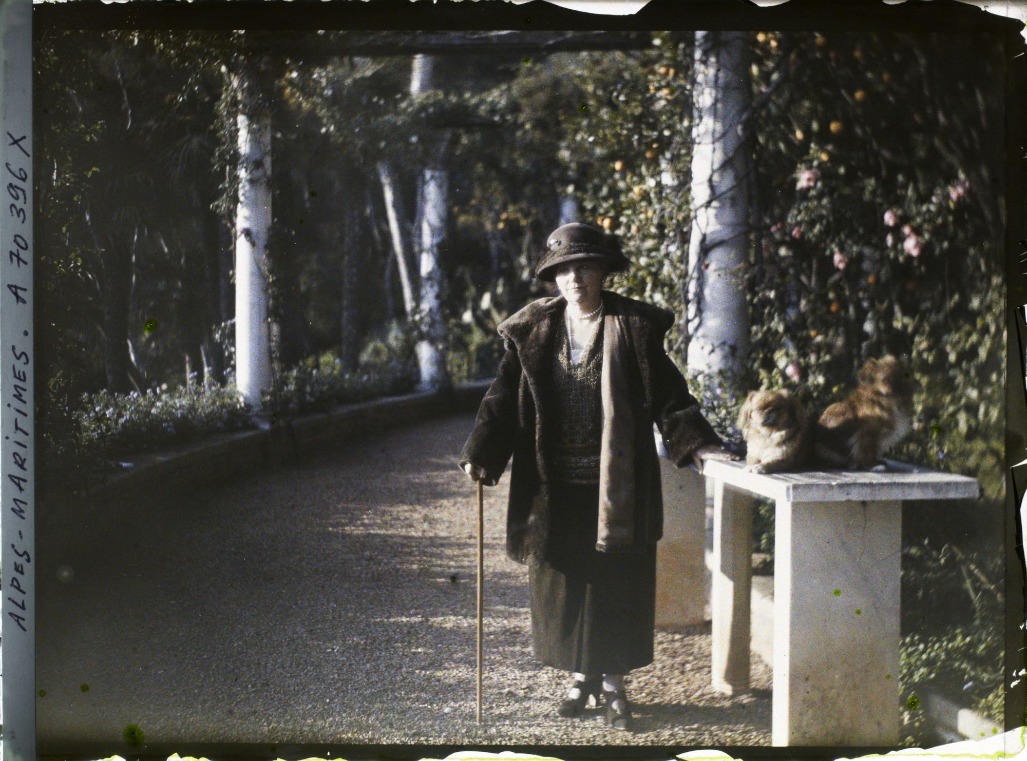 Image représentant Madame Cyprienne Douine, sous la pergola du jardin de sa villa Cypris