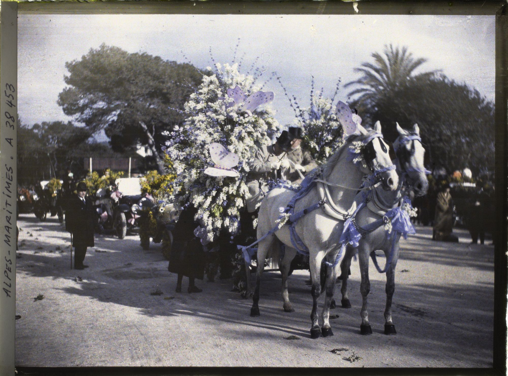 Image représentant Le carnaval, la fête des fleurs