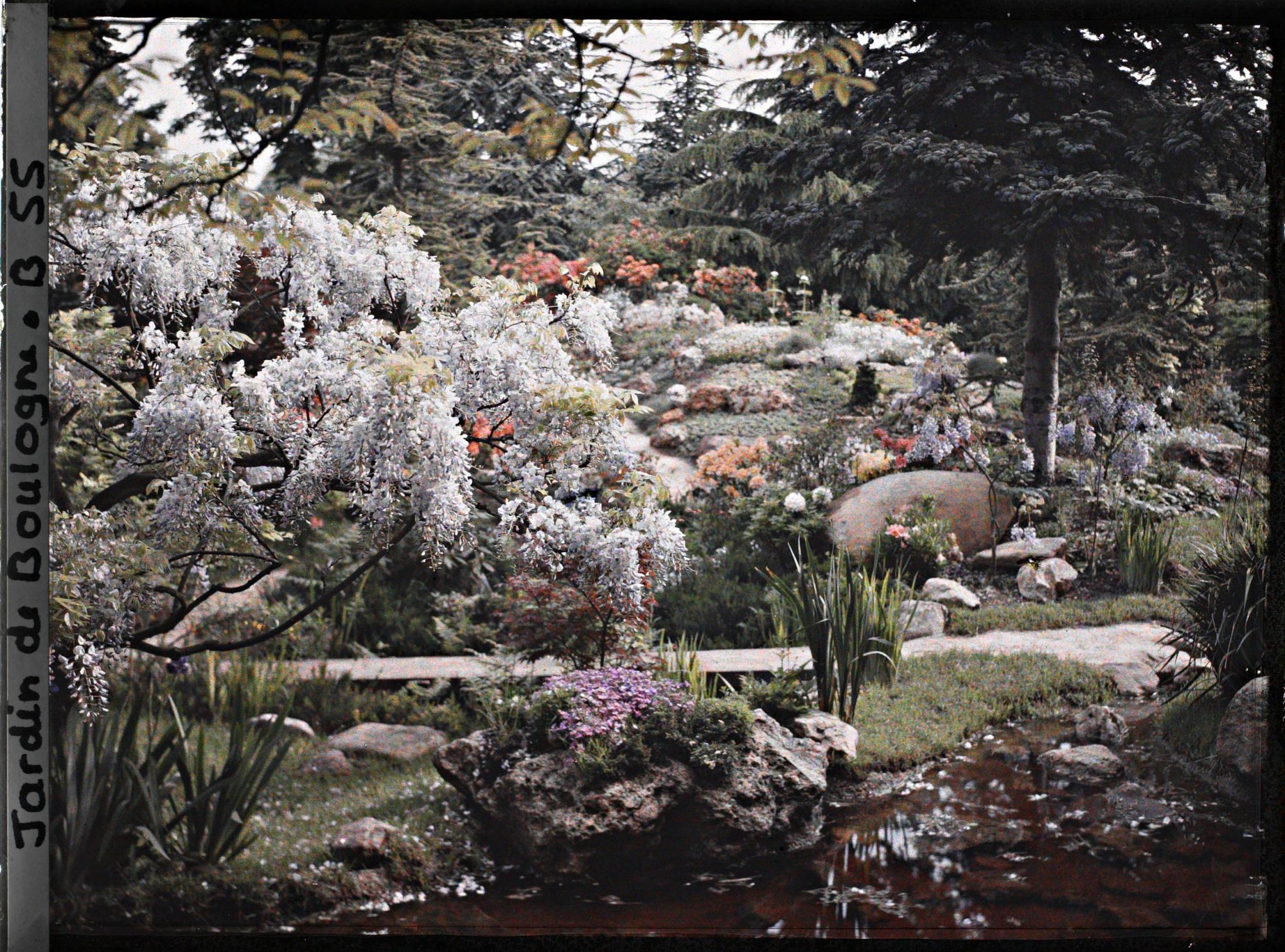 Image représentant Glycine en fleur au bord de l'eau et butte du " sanctuaire japonais " peu éloignée de la façade de temple
