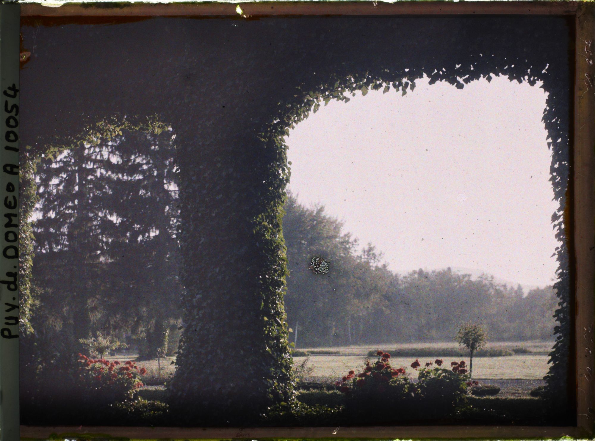 Image représentant France, St Cirgues, Château de St Cirgues