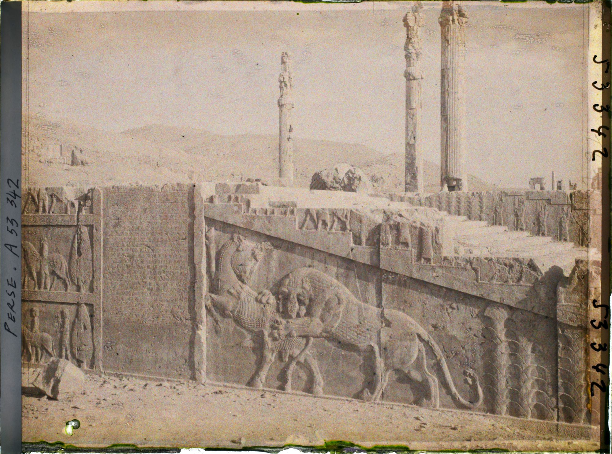 Image représentant Escalier nord de l'Apadana, combat du lion et du taureau et inscriptions cunéiformes